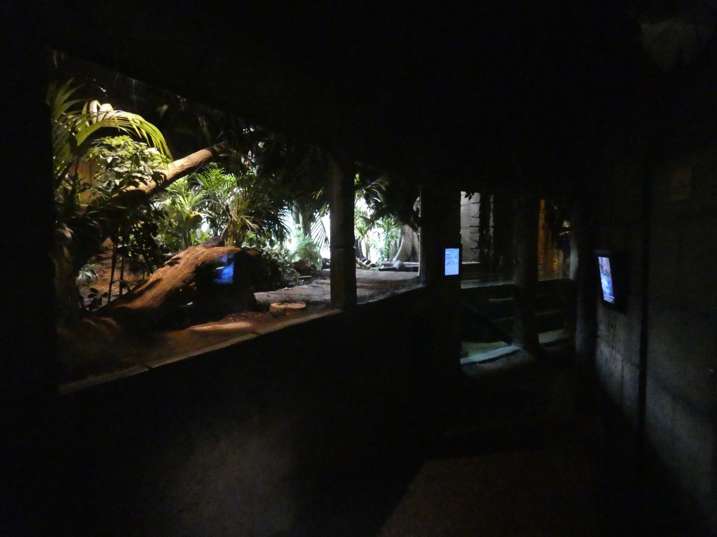 View inside 'Amazon and Beyond'