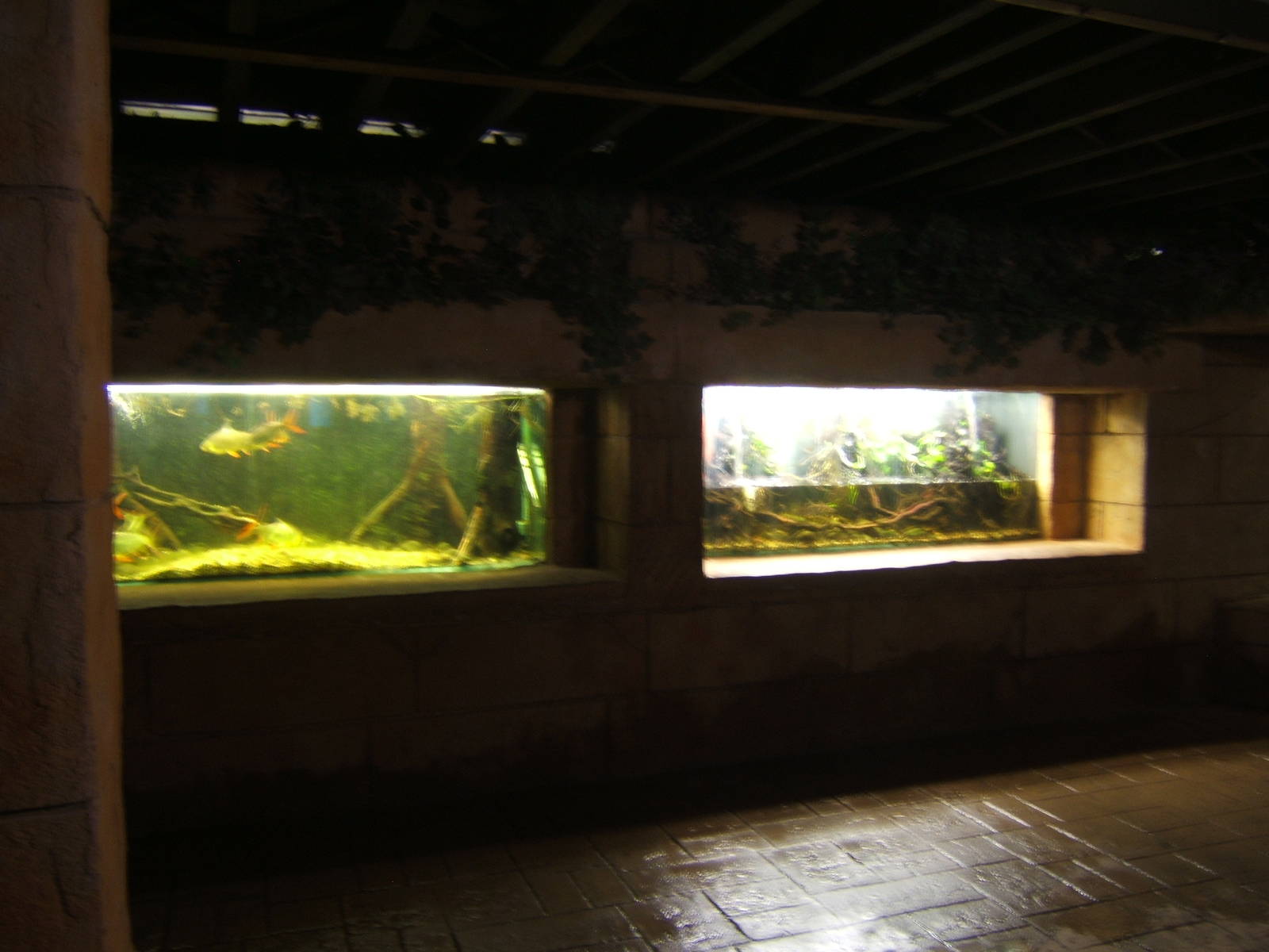 View inside Aquarium