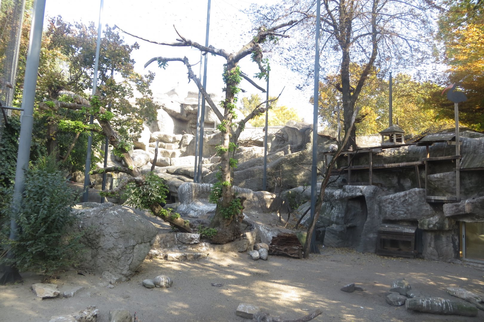 View inside aviary in Little Rock 171018