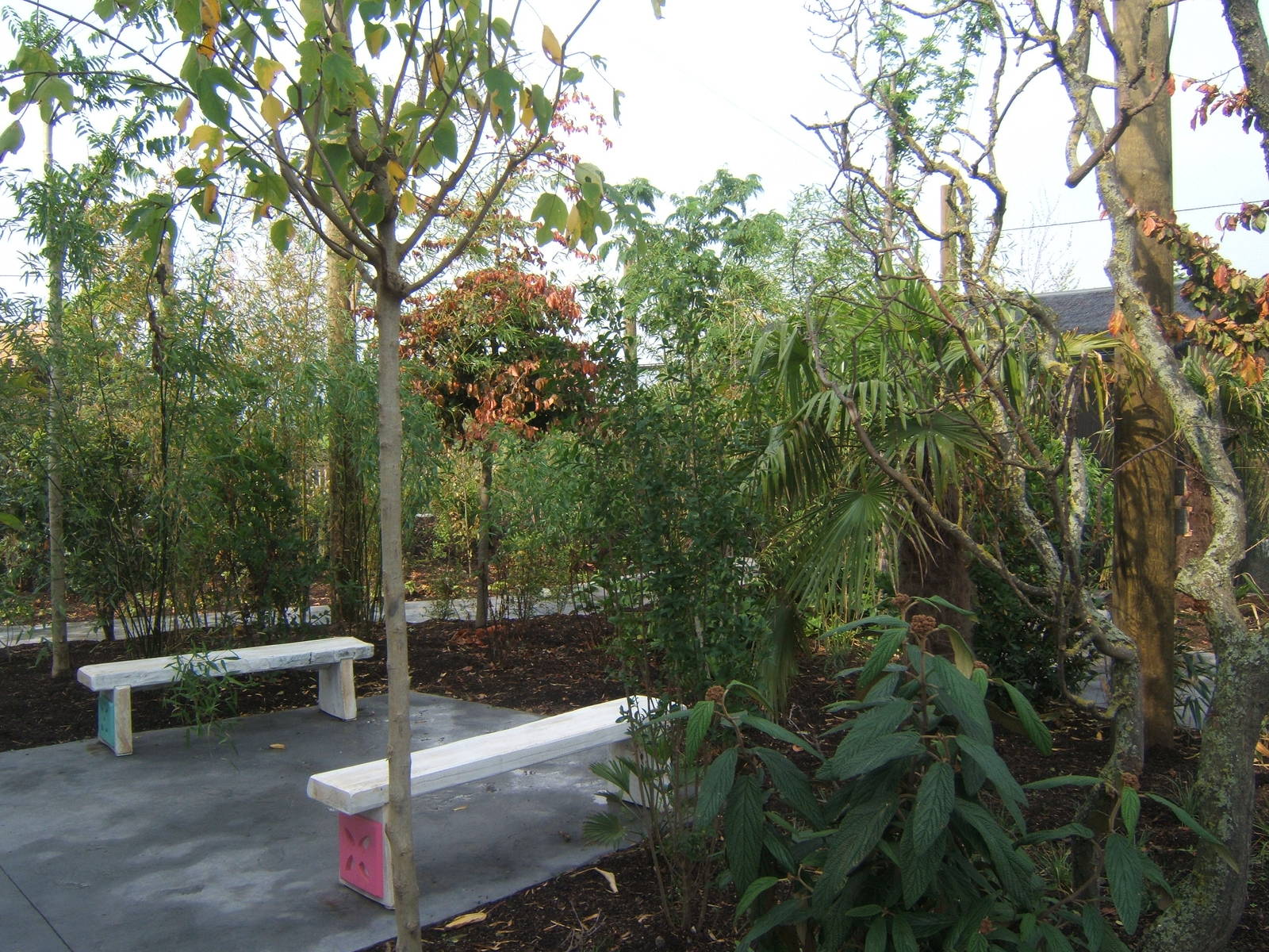 View inside Bali Aviary