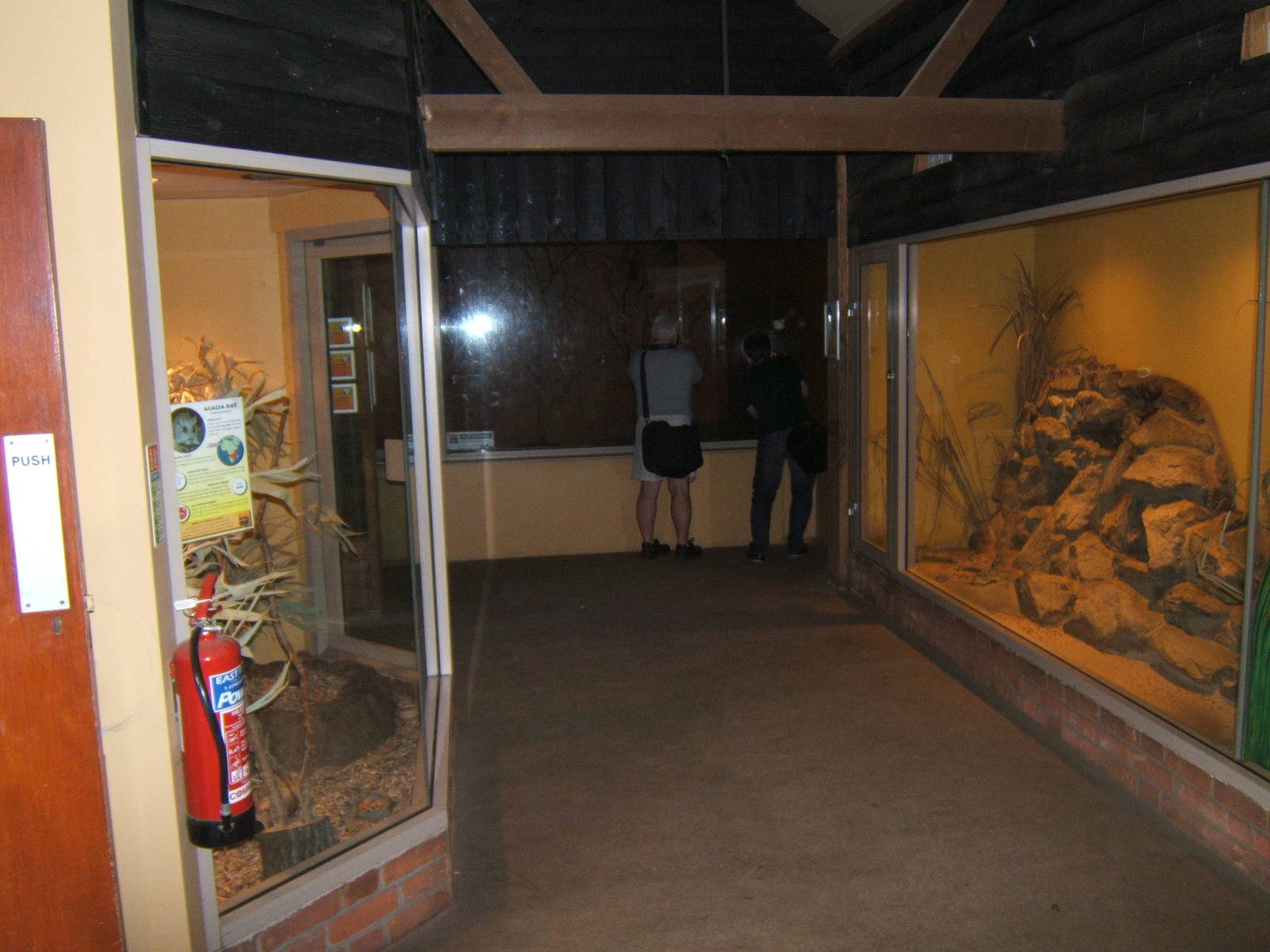 View inside Bat and Aardvark House