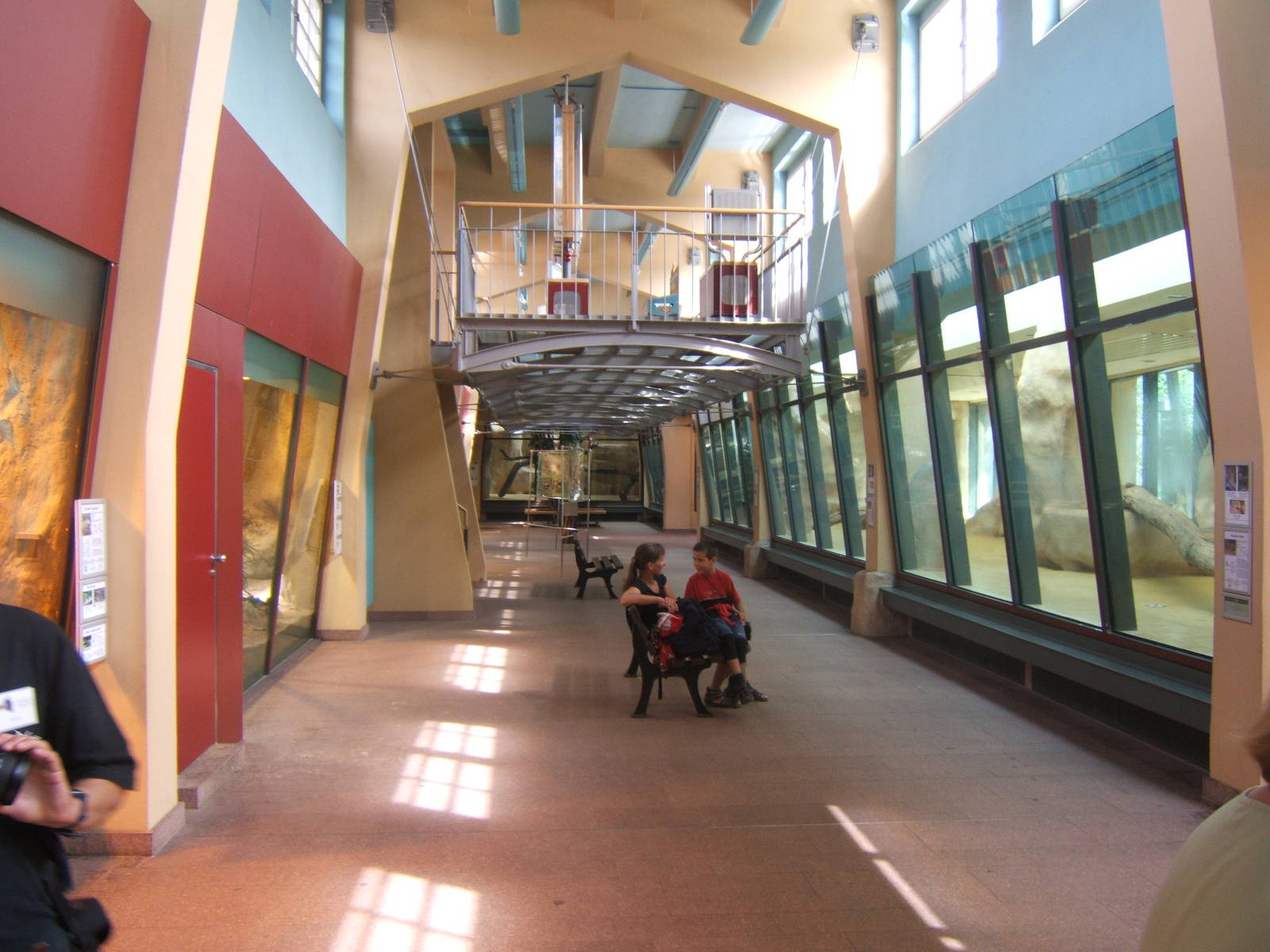 View inside Big Cat House