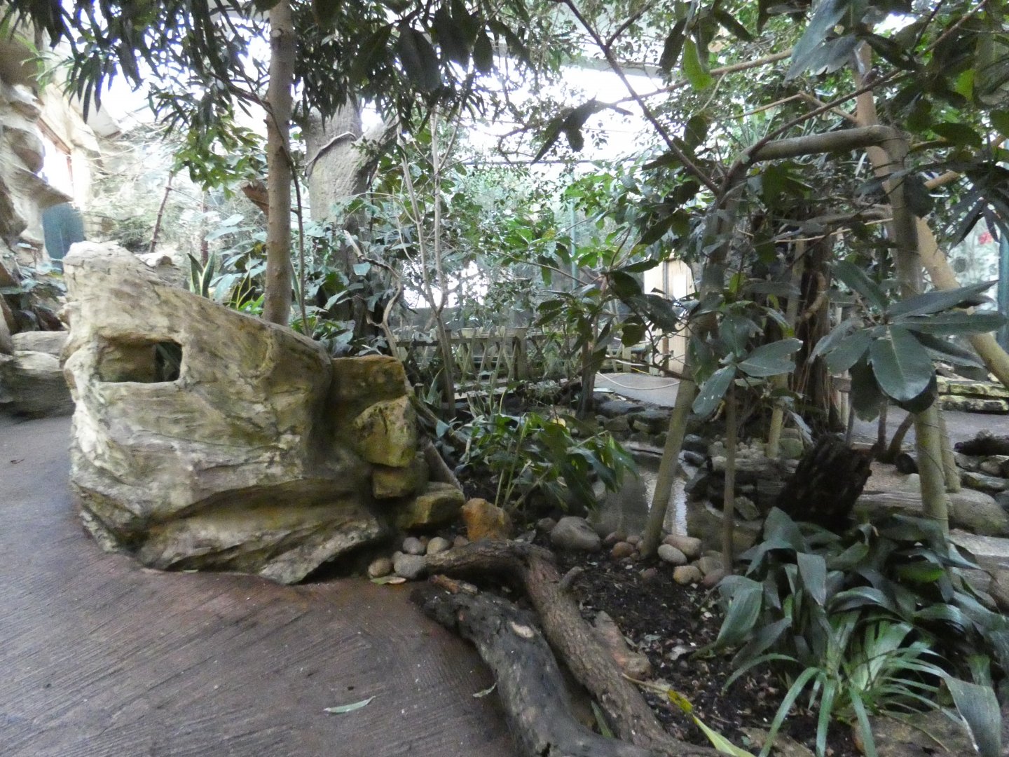 View inside bird house (2)