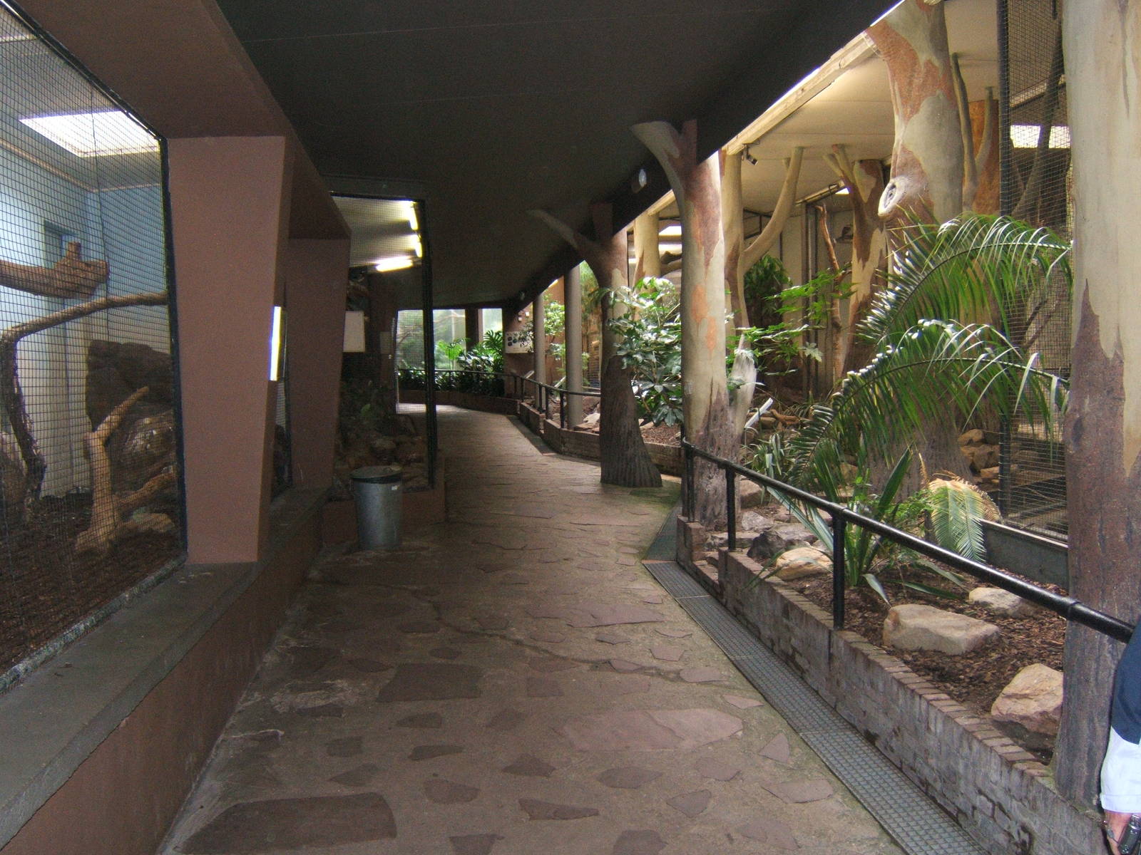 View inside Bird house