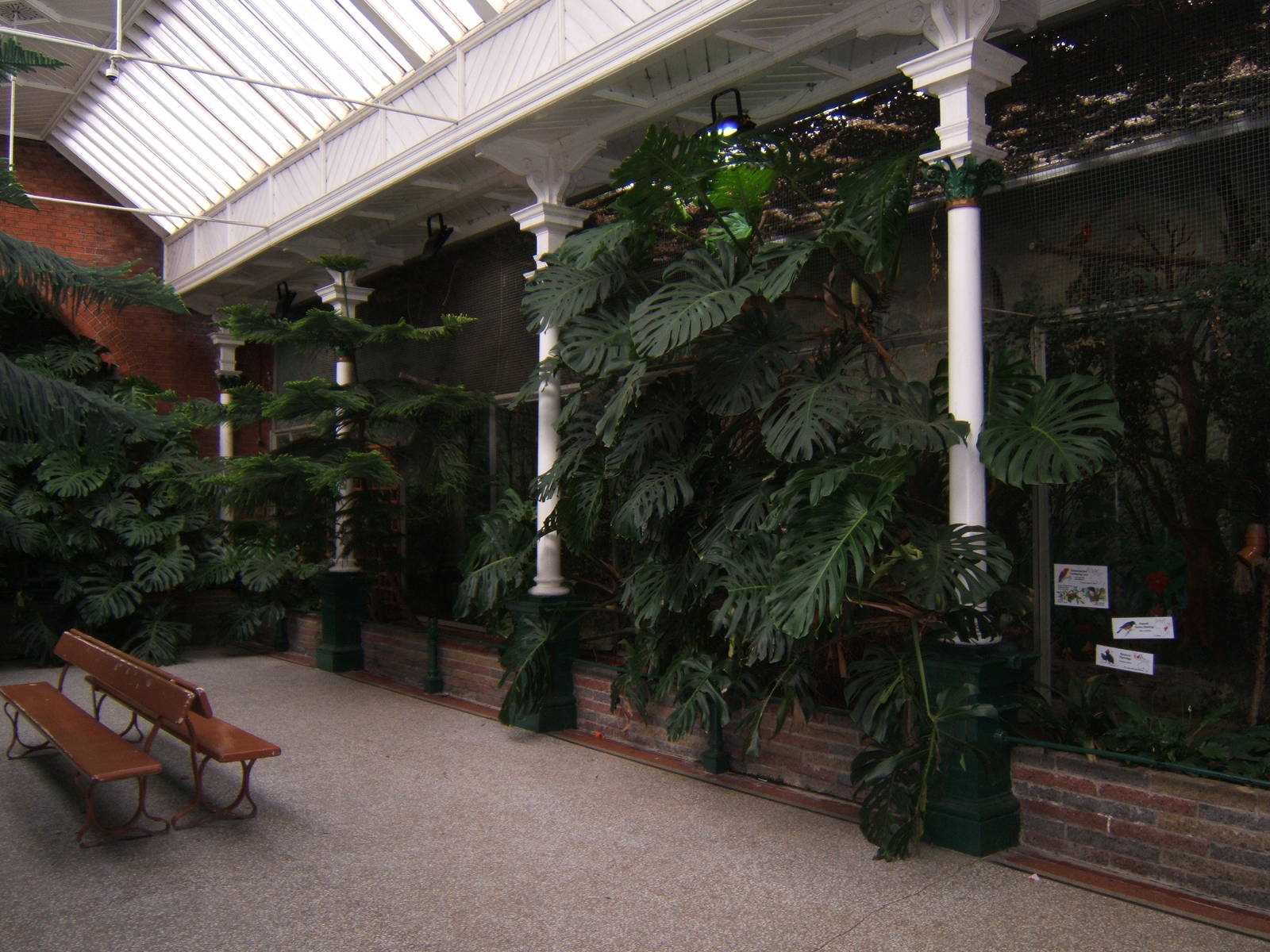 View inside Bird House