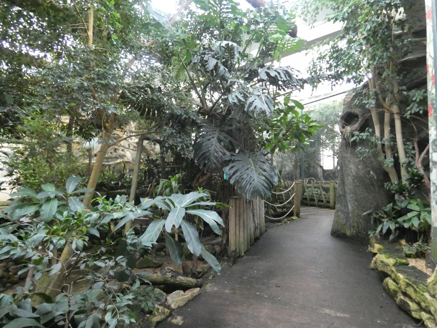 View inside bird house