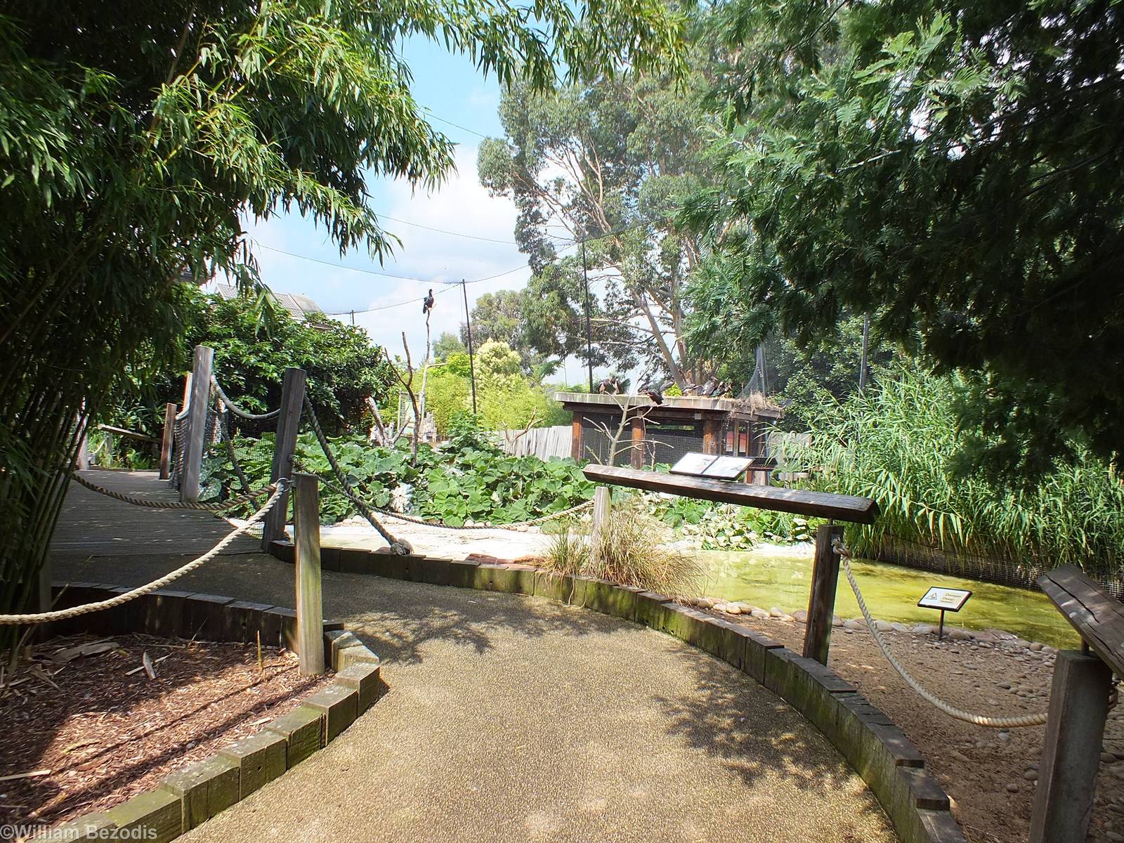 View Inside Bird Safari Aviary
