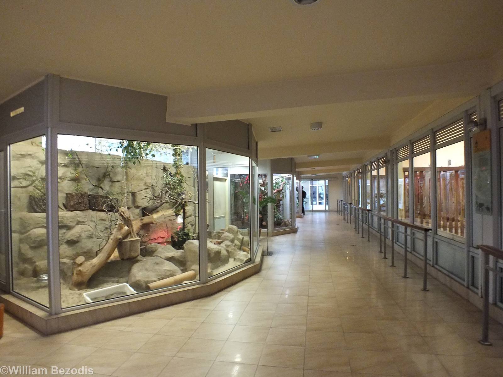 View Inside Bongo and Giraffe House