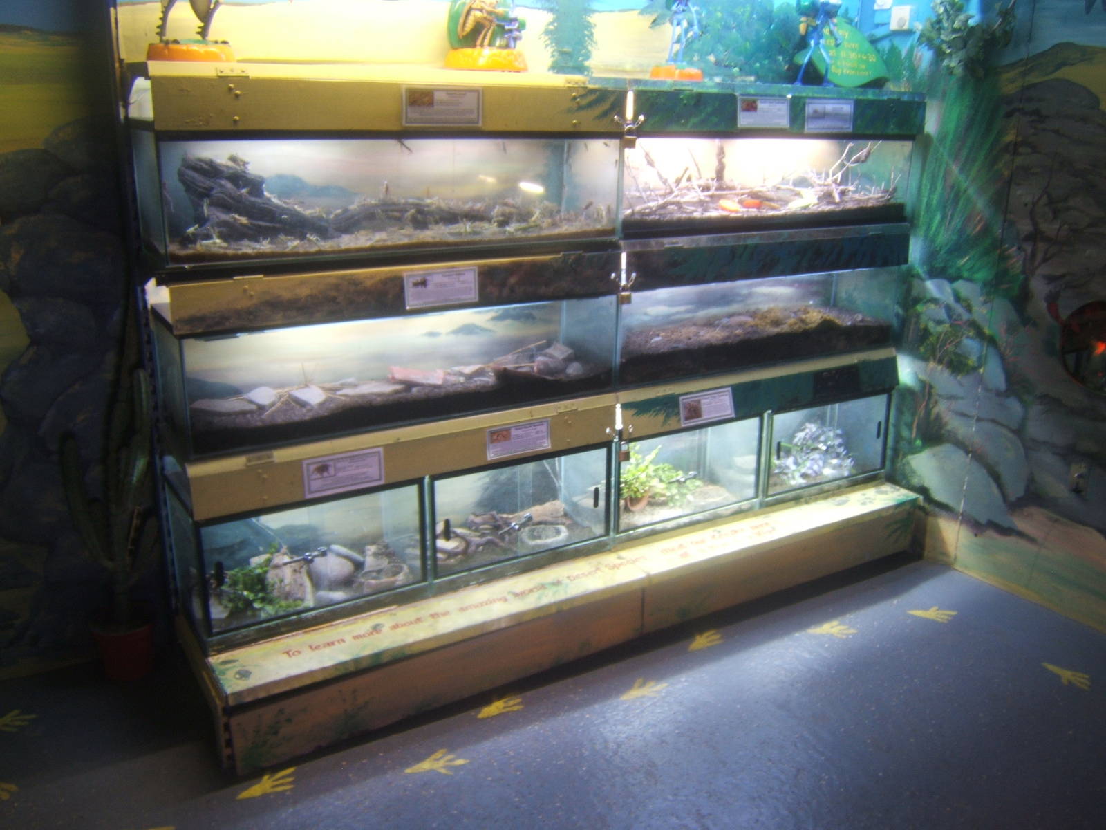 View inside Bug World