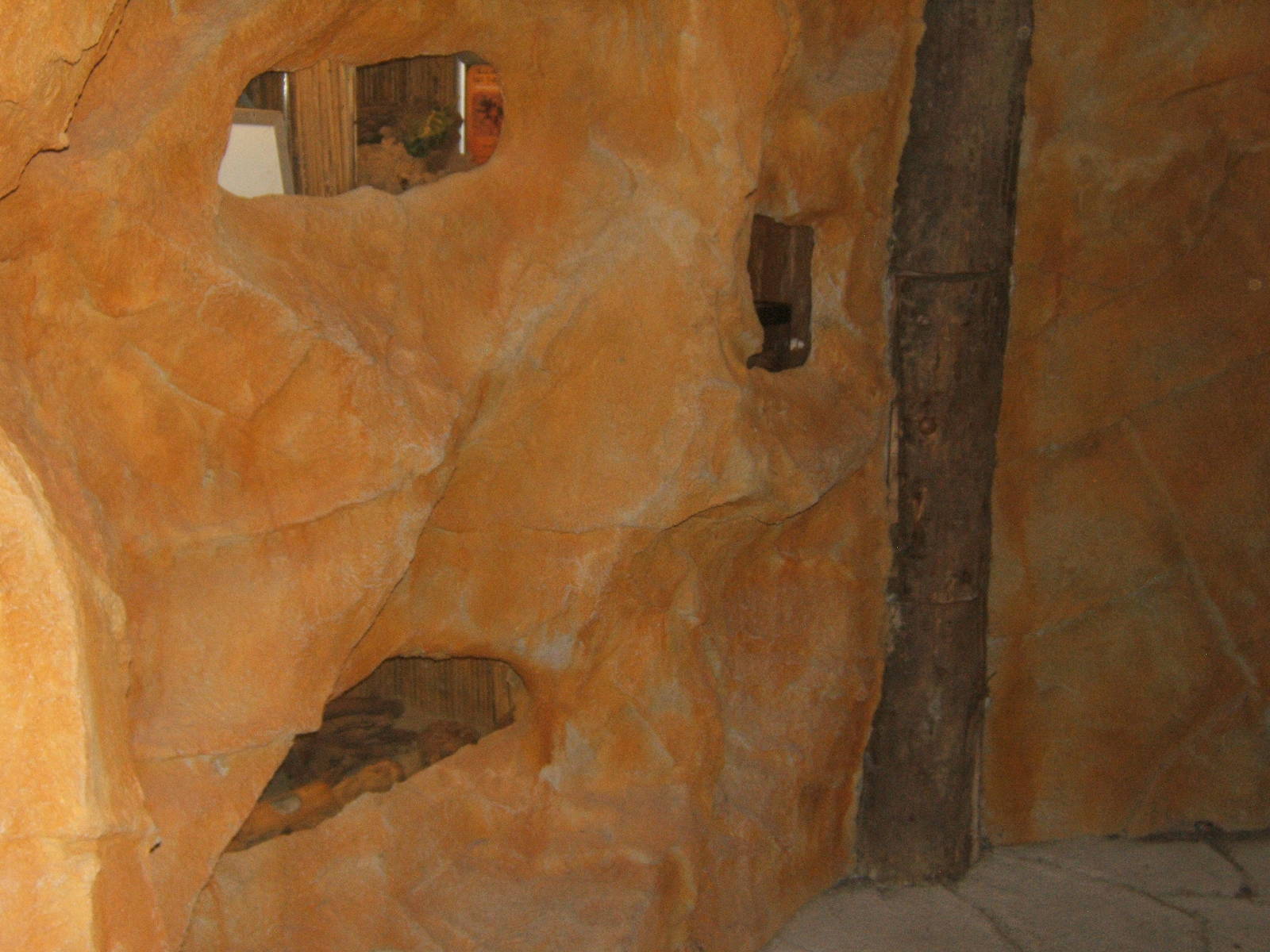 View inside Bug World