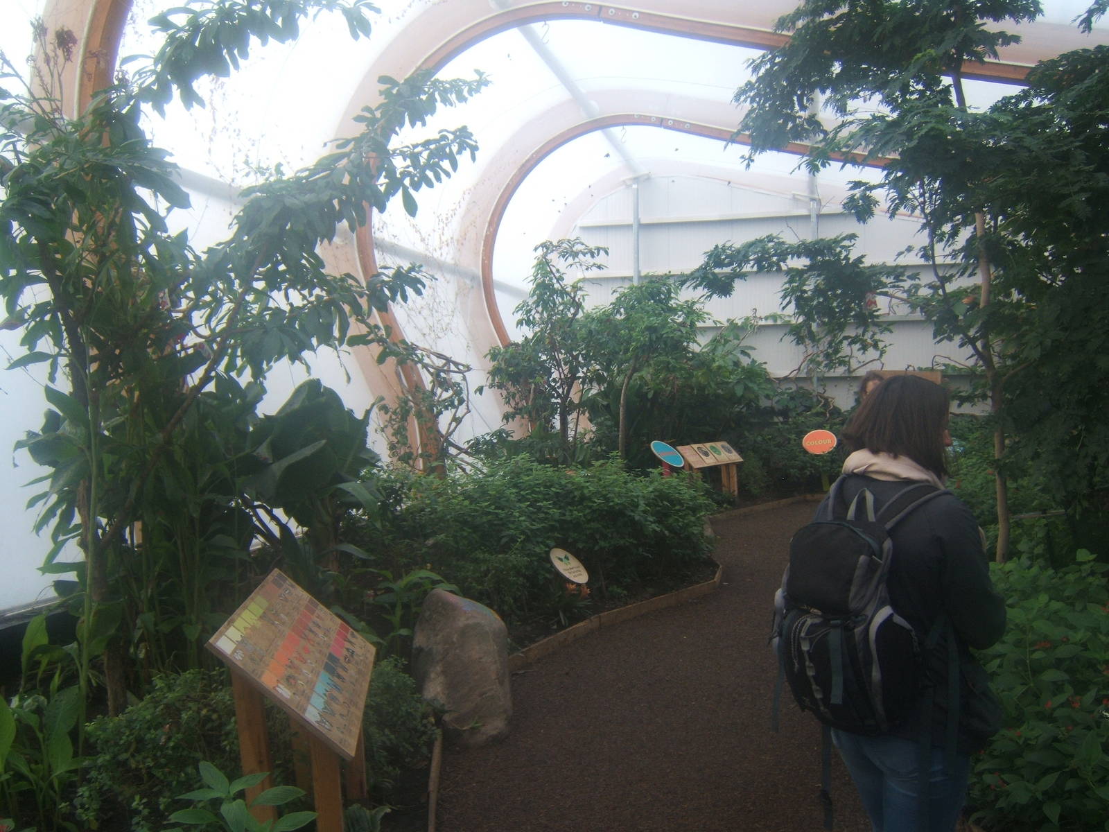 View inside Butterfly House