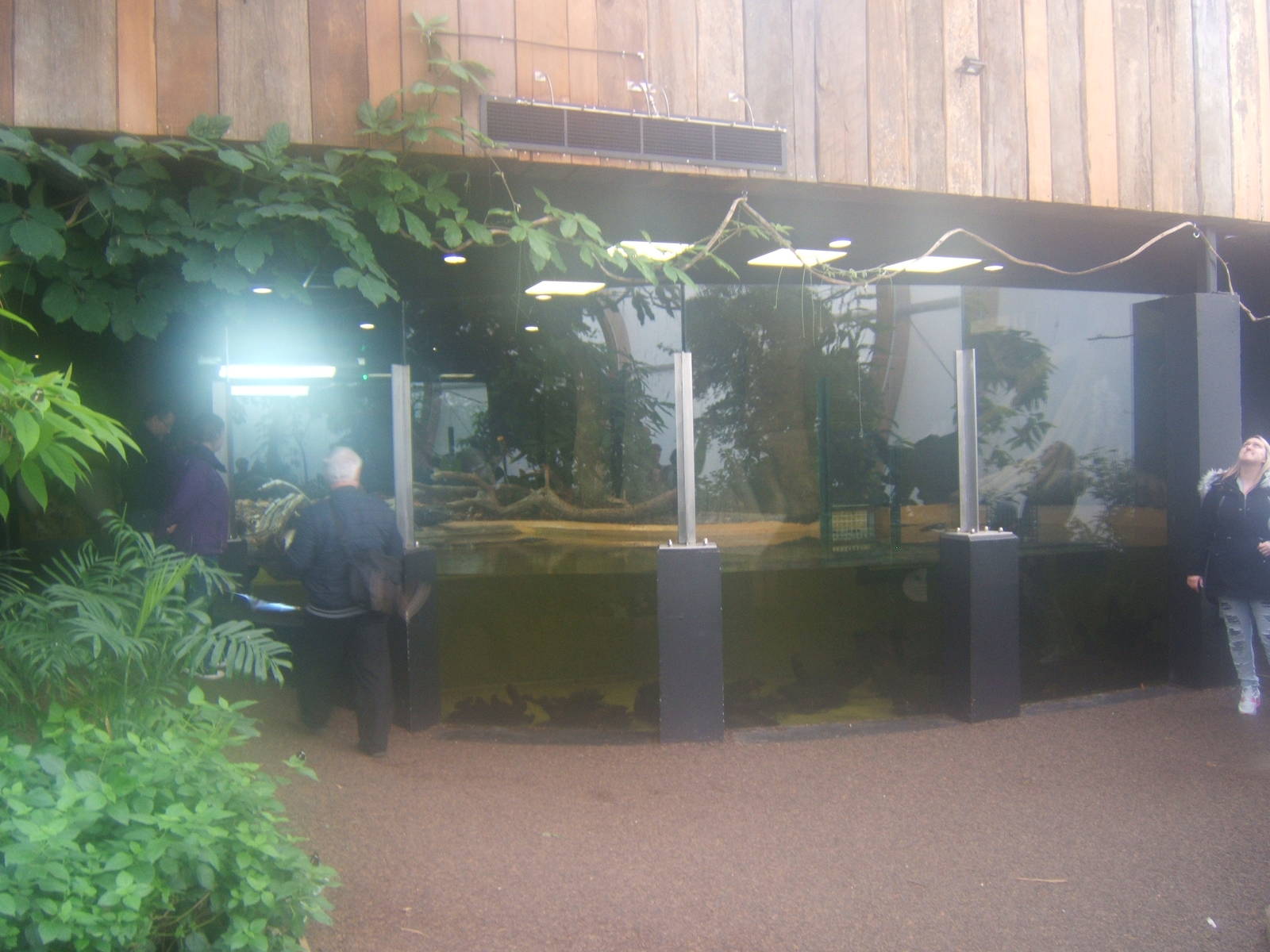 View inside Butterfly House
