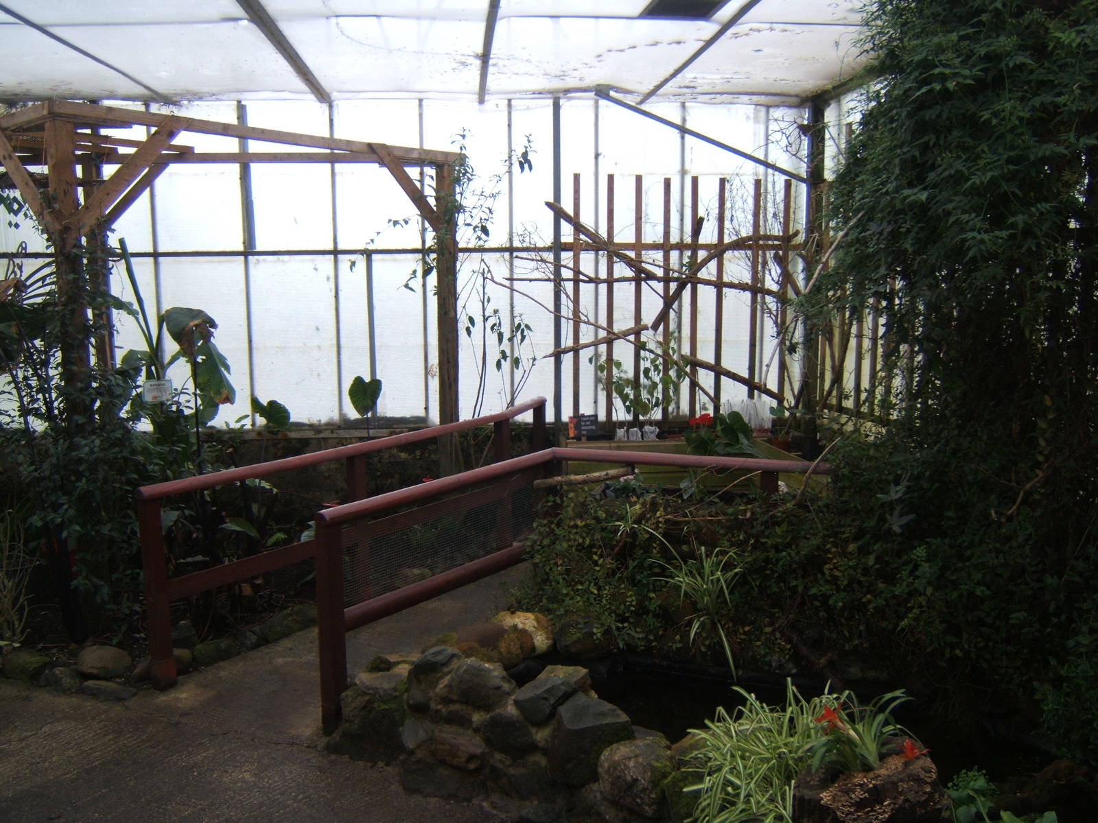 View inside Butterfly House