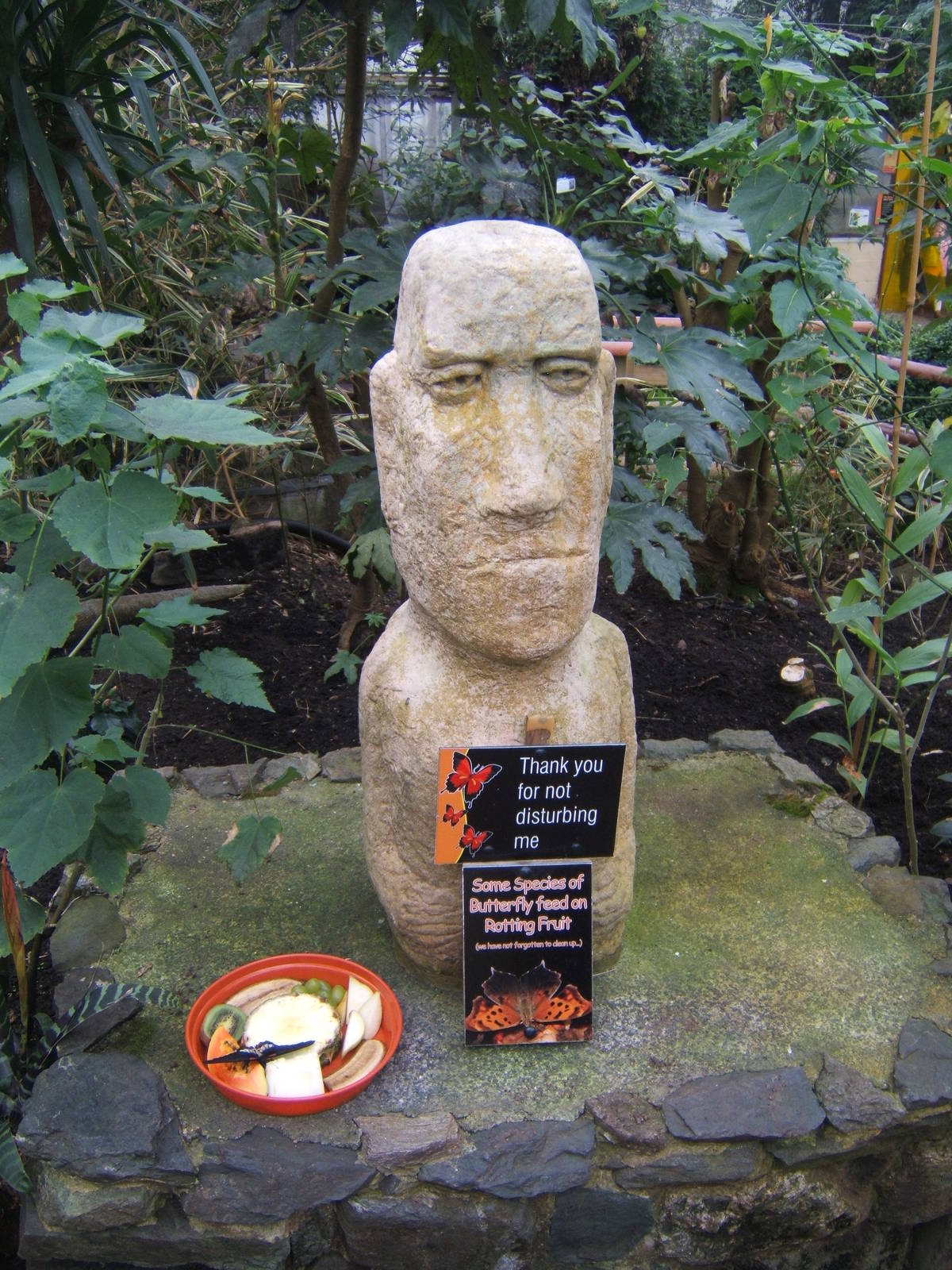 View inside Butterfly House