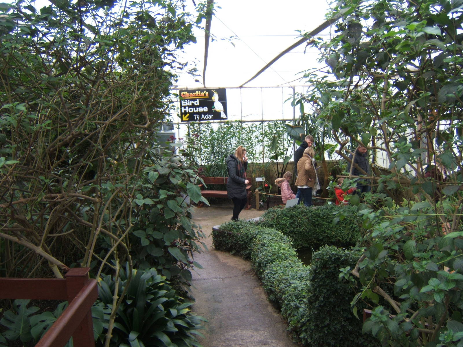 View inside Butterfly House