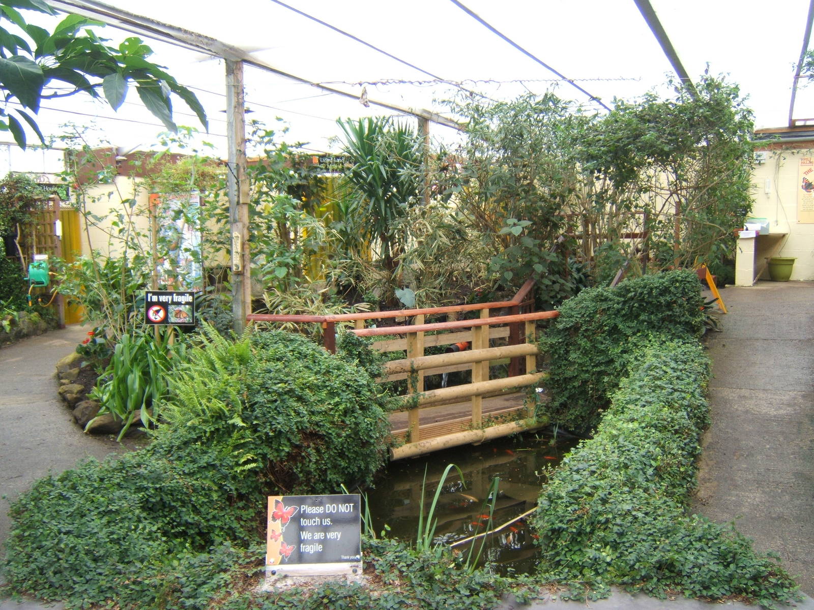 View inside Butterfly House