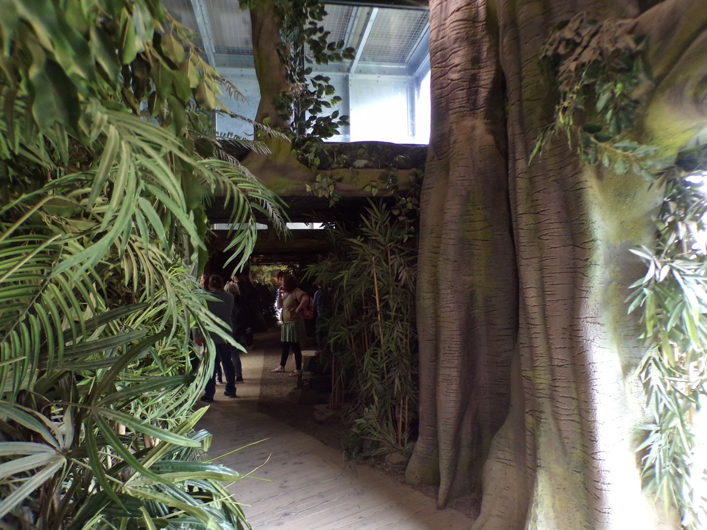 View inside Chimpanzee Eden 7.7.24