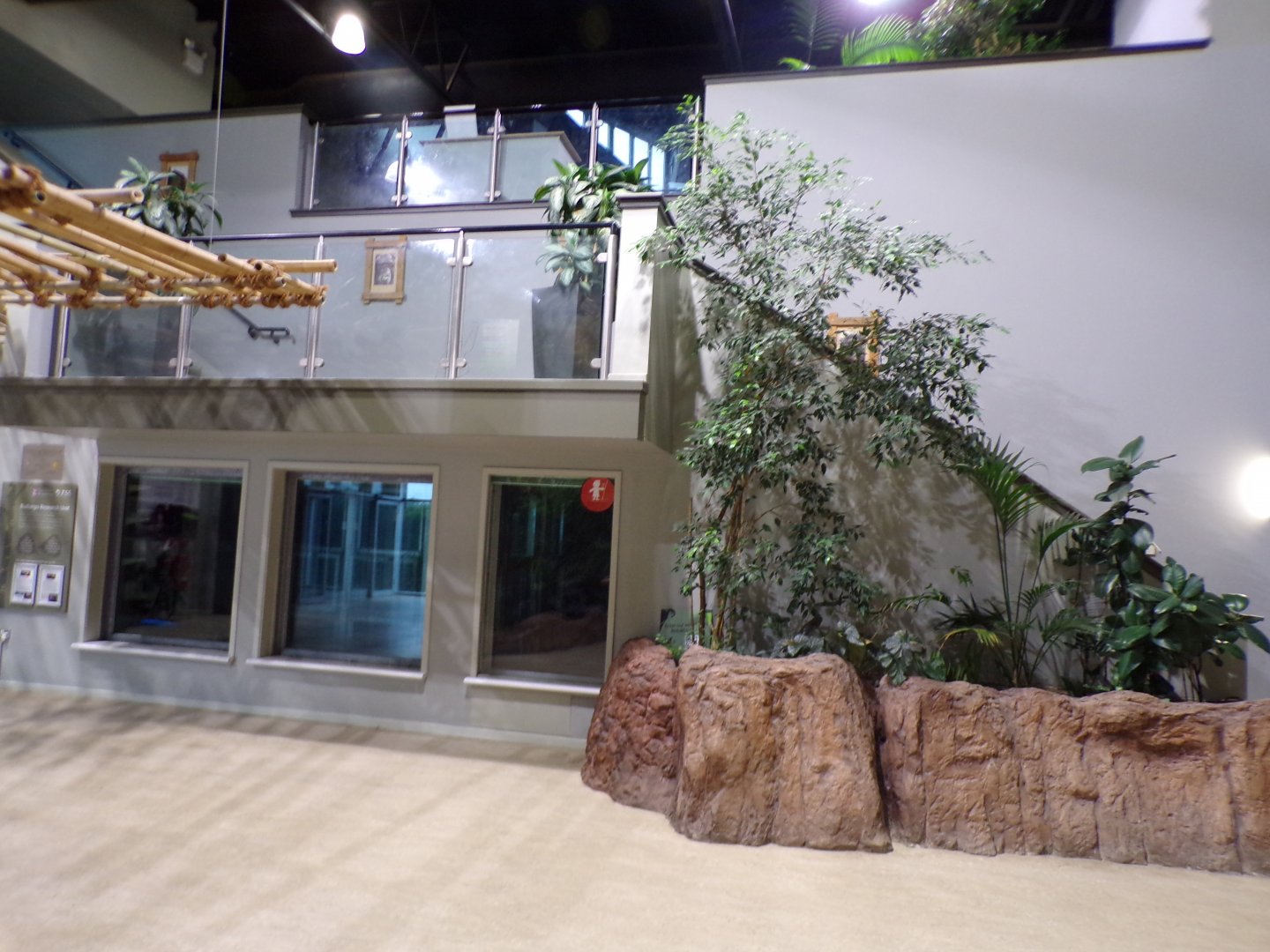 View inside Chimpanzee house in the evening 22.7.23