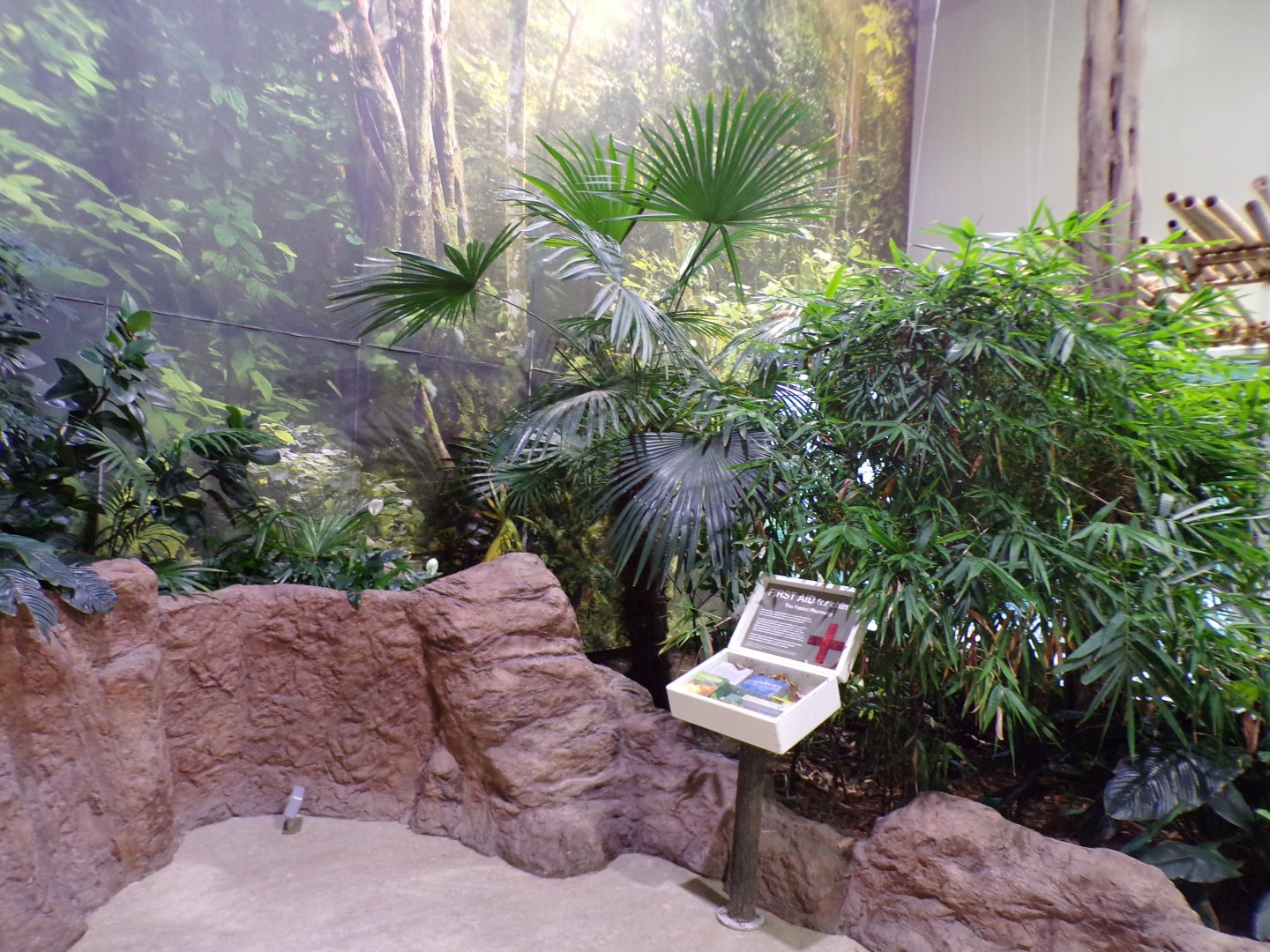 View inside Chimpanzee house in the evening 22.7.23