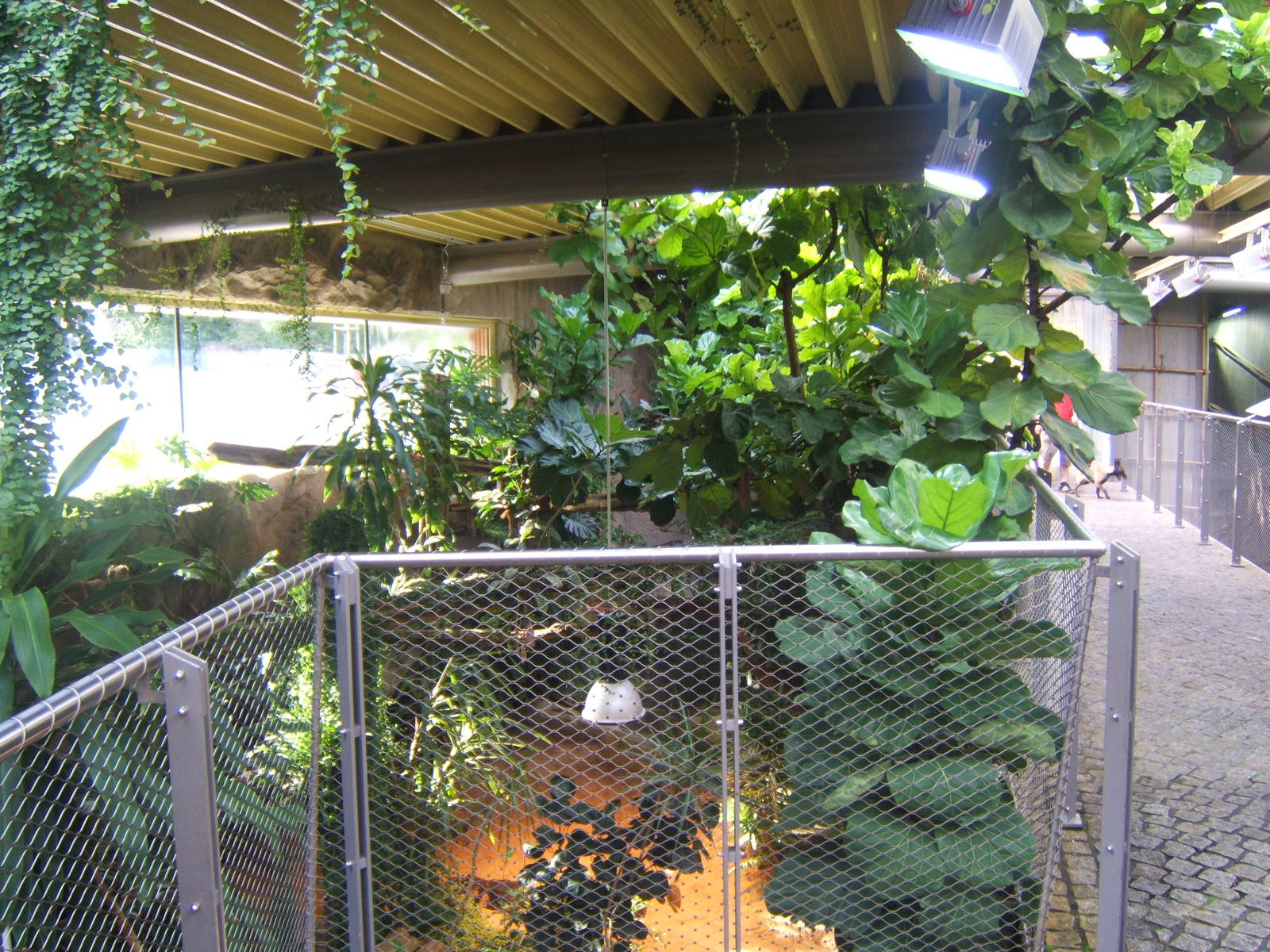 View inside Crocodile House