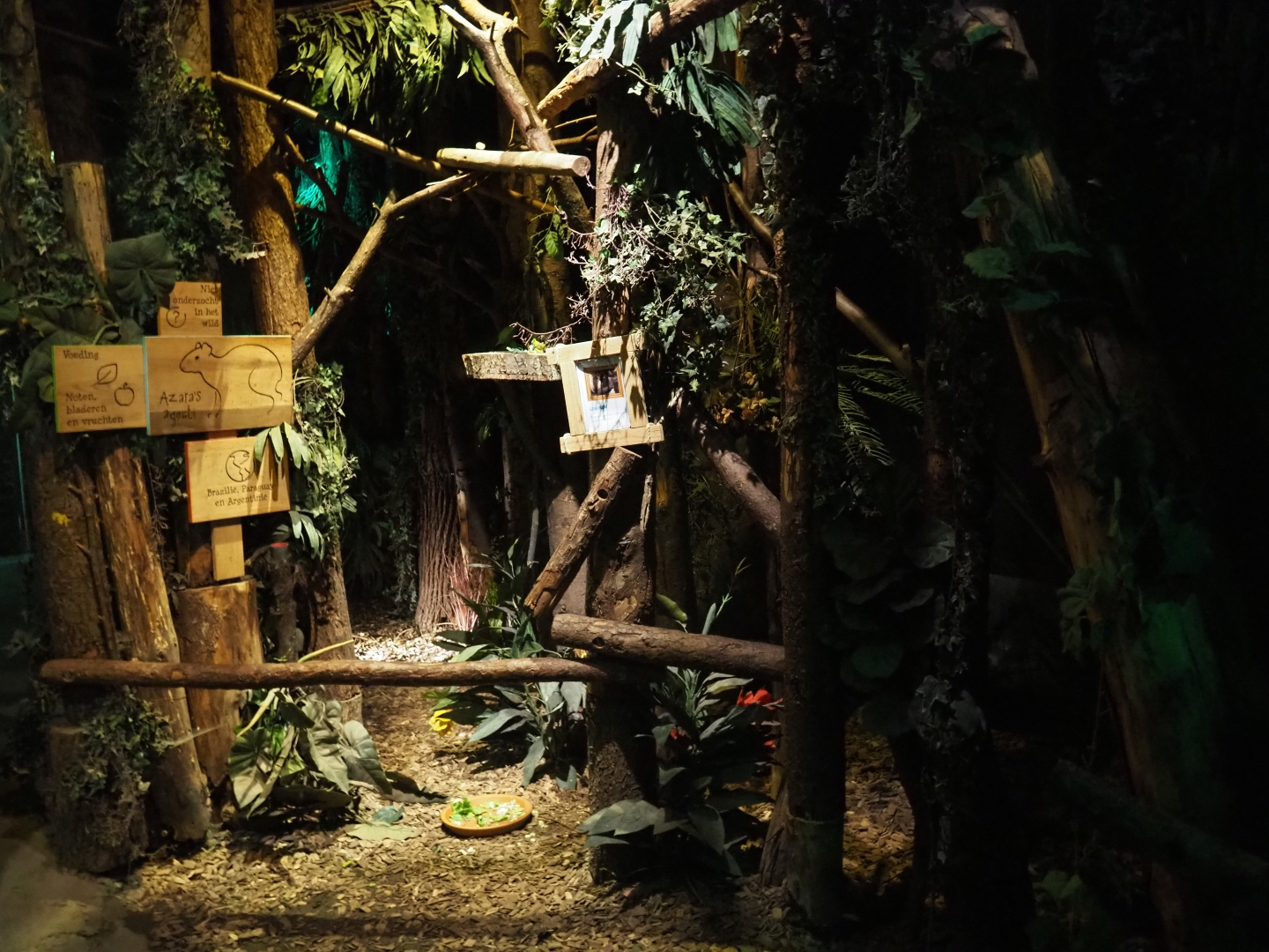 View inside "De Nacht"