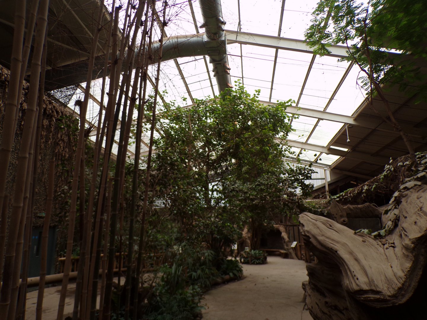 View inside elephant house 29.6.24