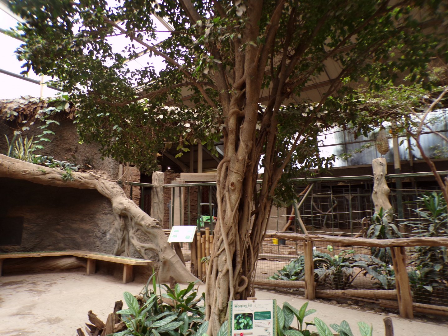 View inside elephant house 29.6.24