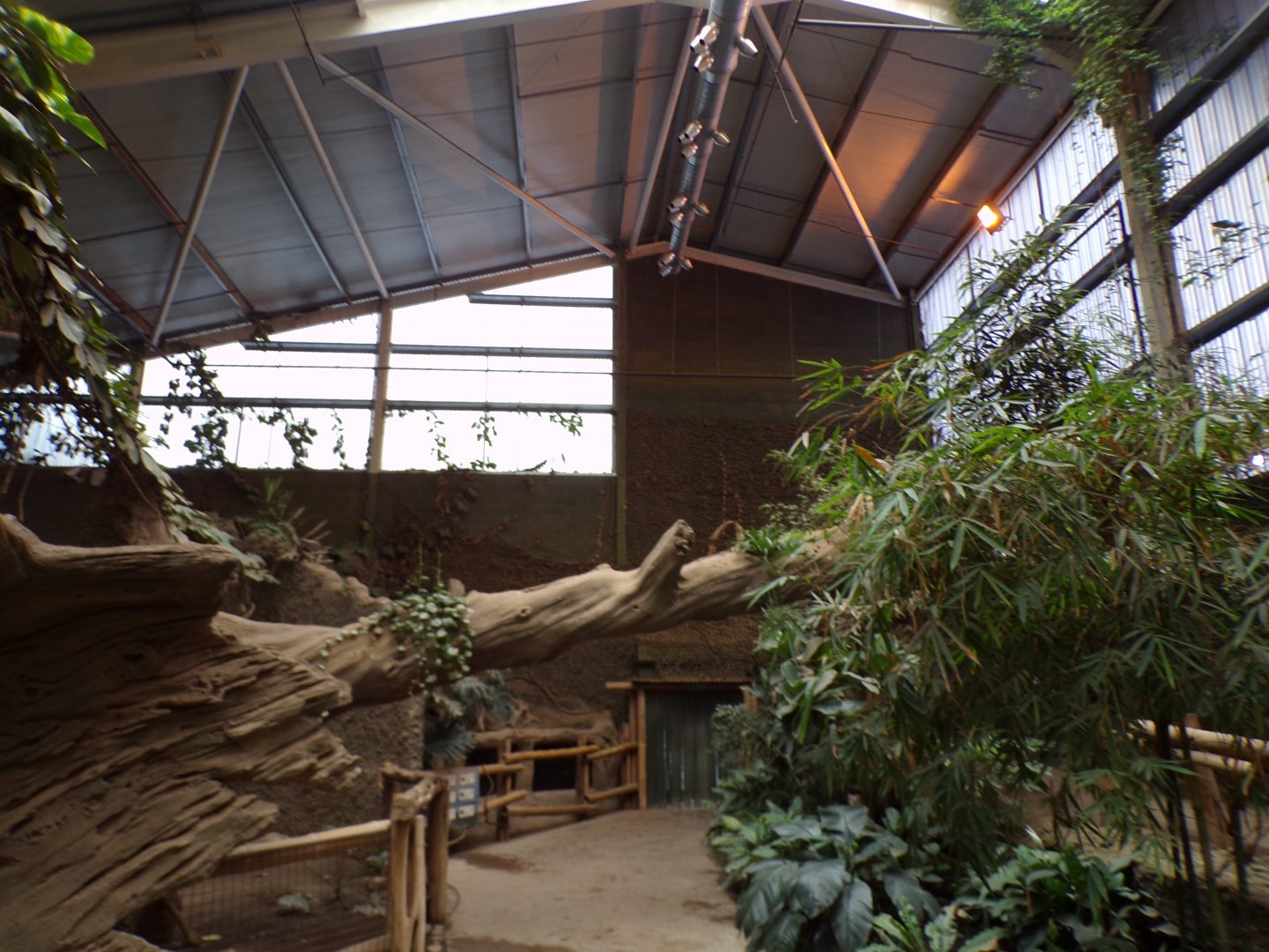 View inside elephant house 29.6.24