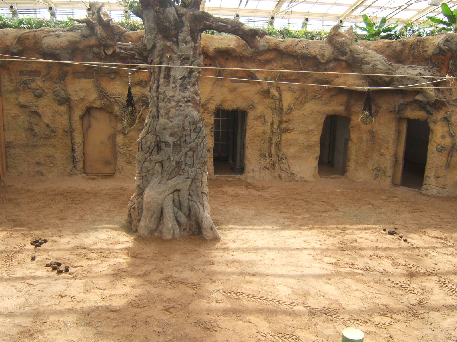 View inside Elephant House
