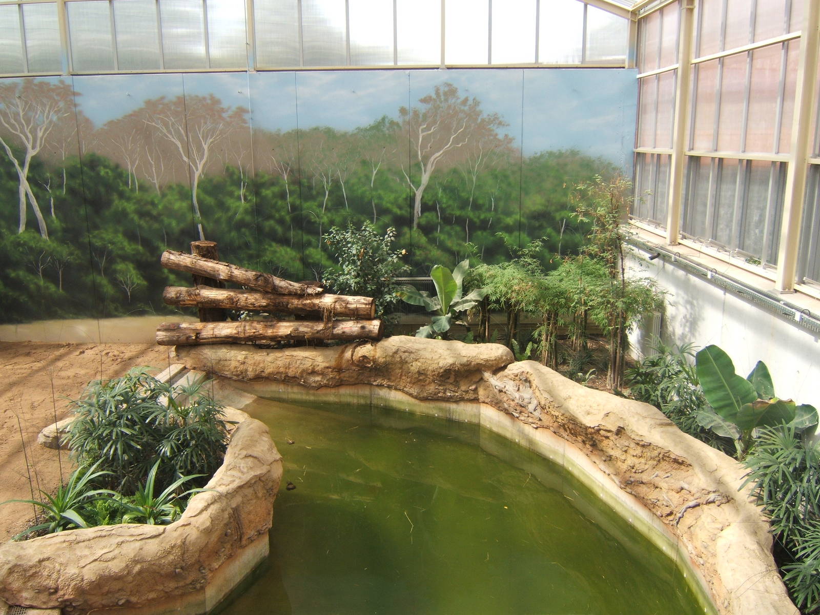 View inside Elephant House