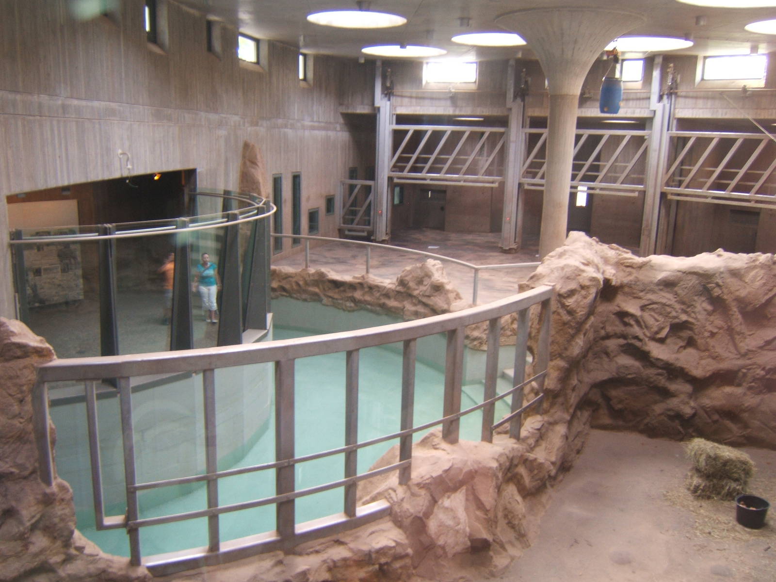 View inside Elephant House