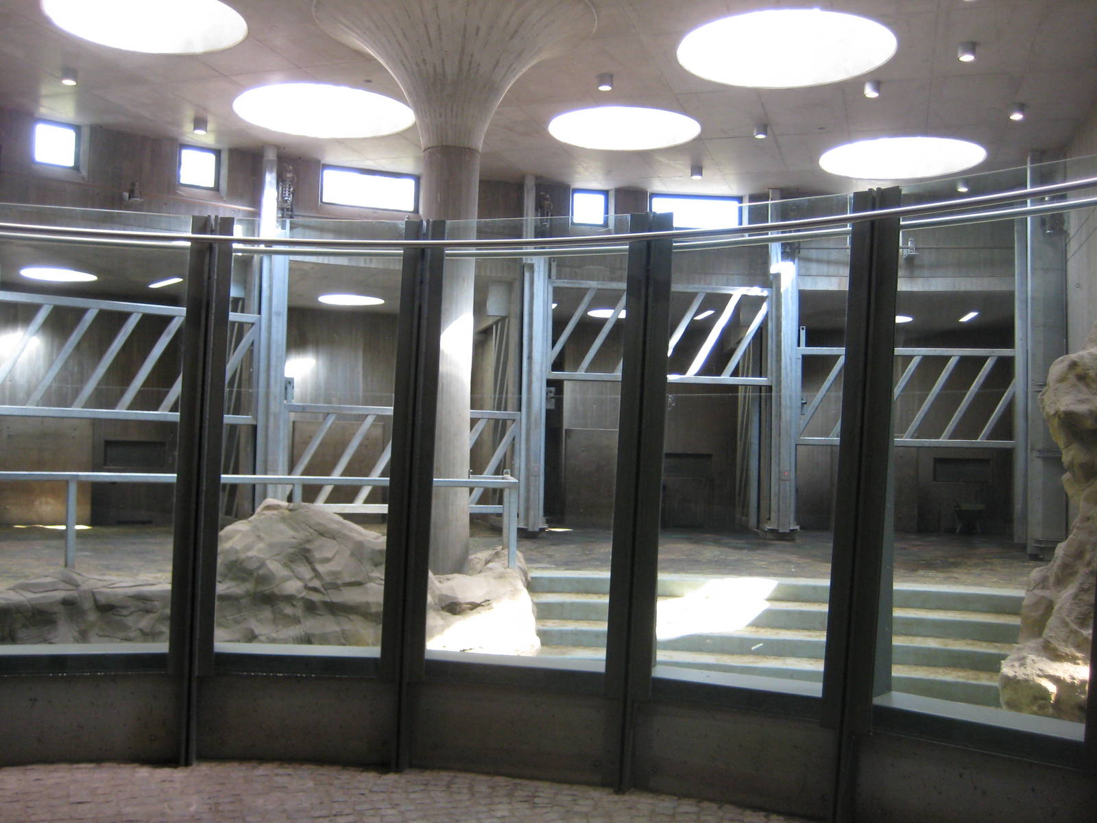 View inside elephant yard