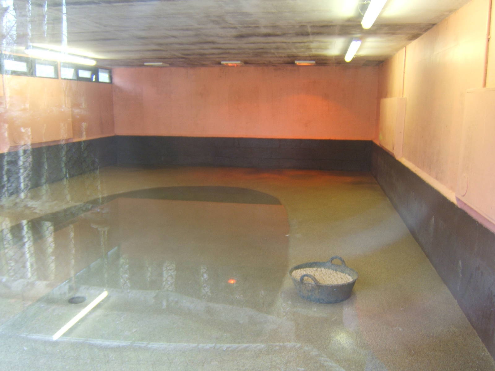 View inside Flamingo House