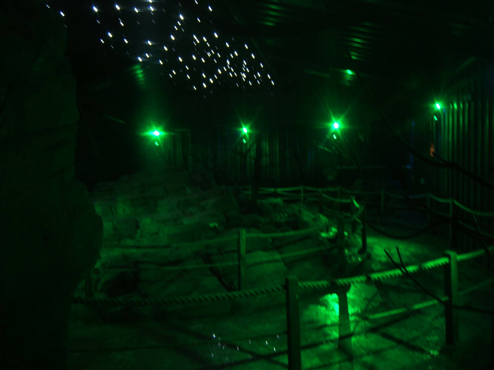 View inside Fruit bat enclosure