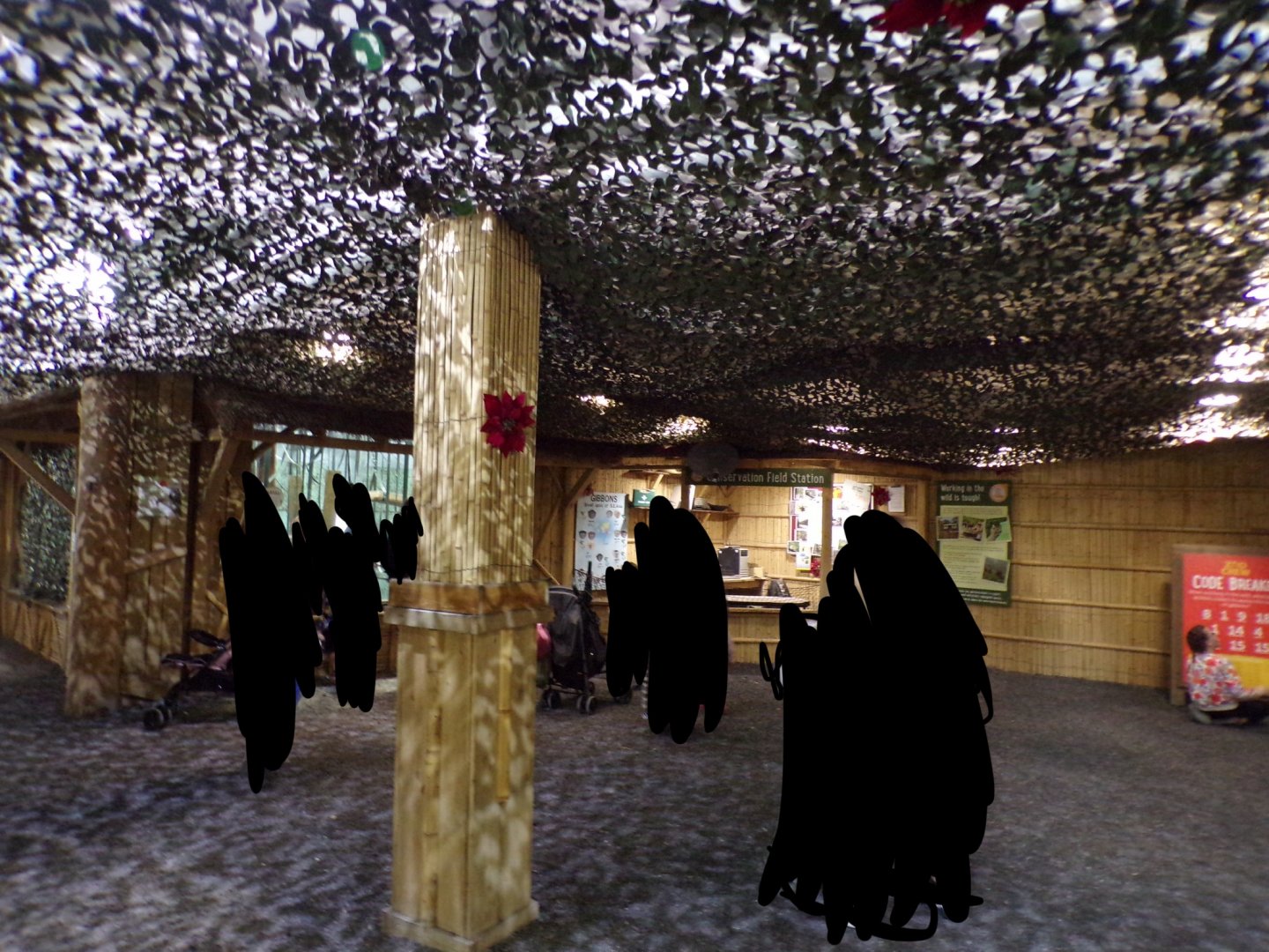 View inside Gibbon Forest 7.7.24