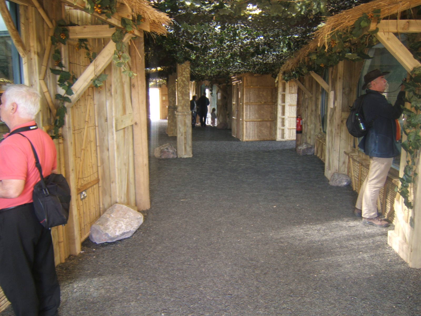 View inside Gibbon Forest