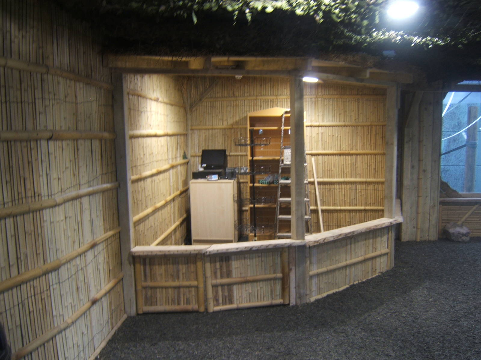 View inside Gibbon Forest