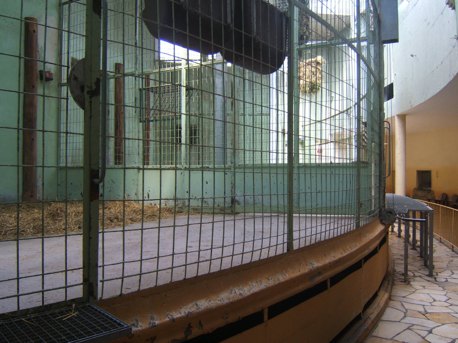 View Inside Giraffe House