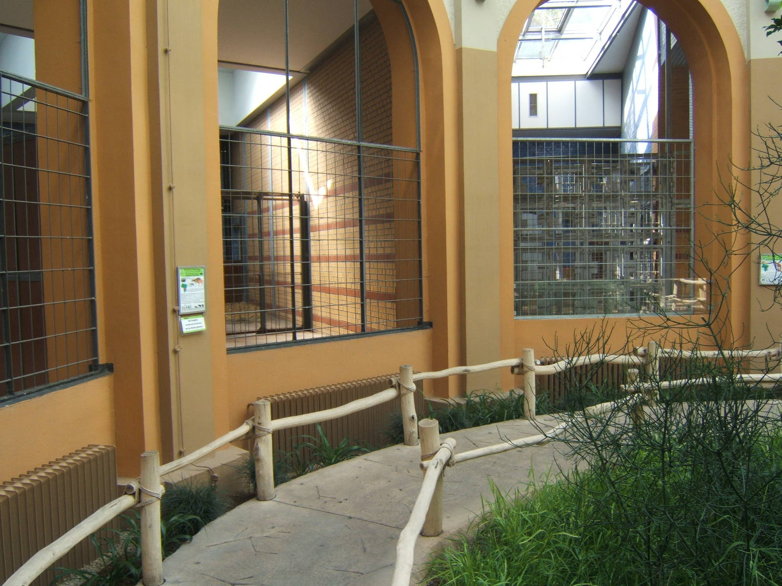 View inside Giraffe House