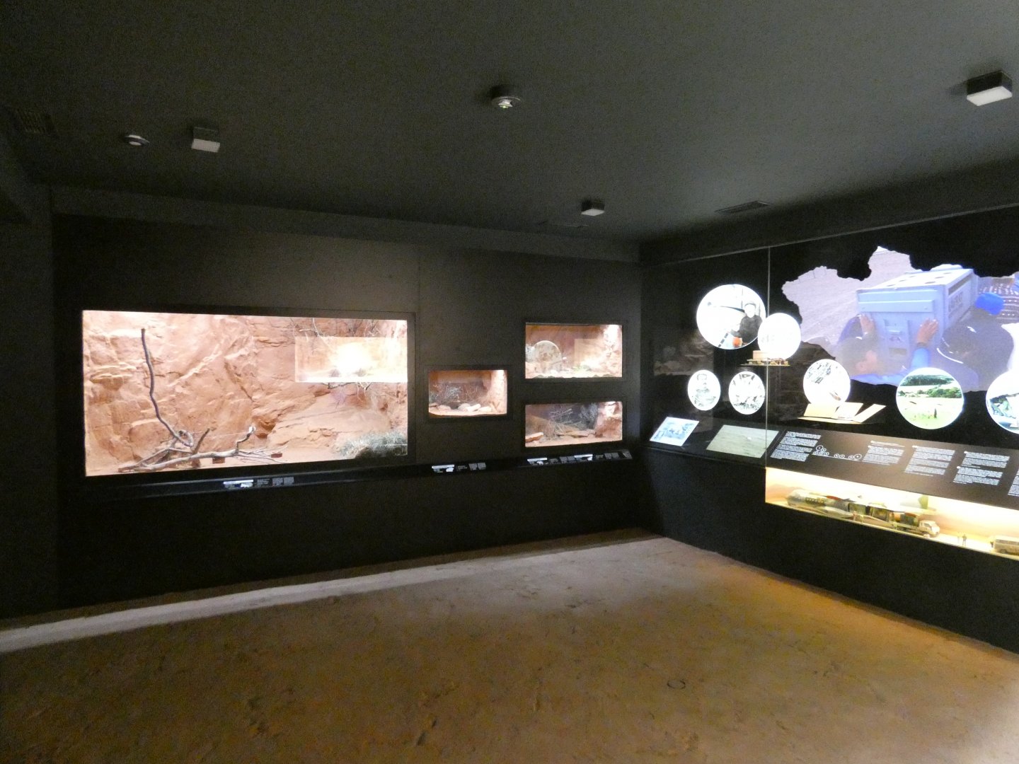 View inside Gobi house