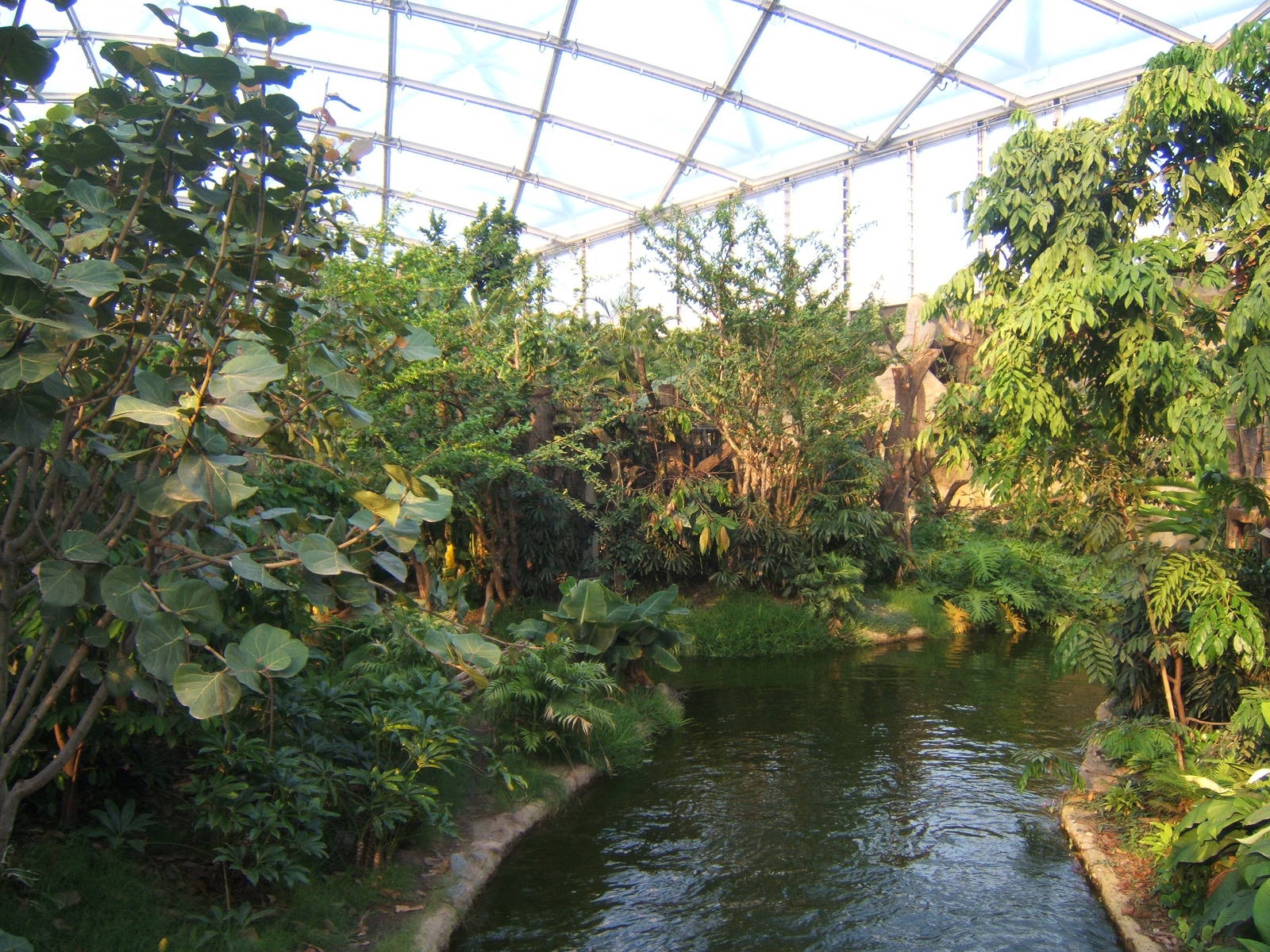 View inside Gondwanaland