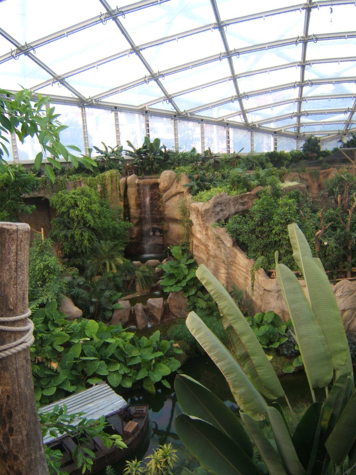 View inside Gondwanaland