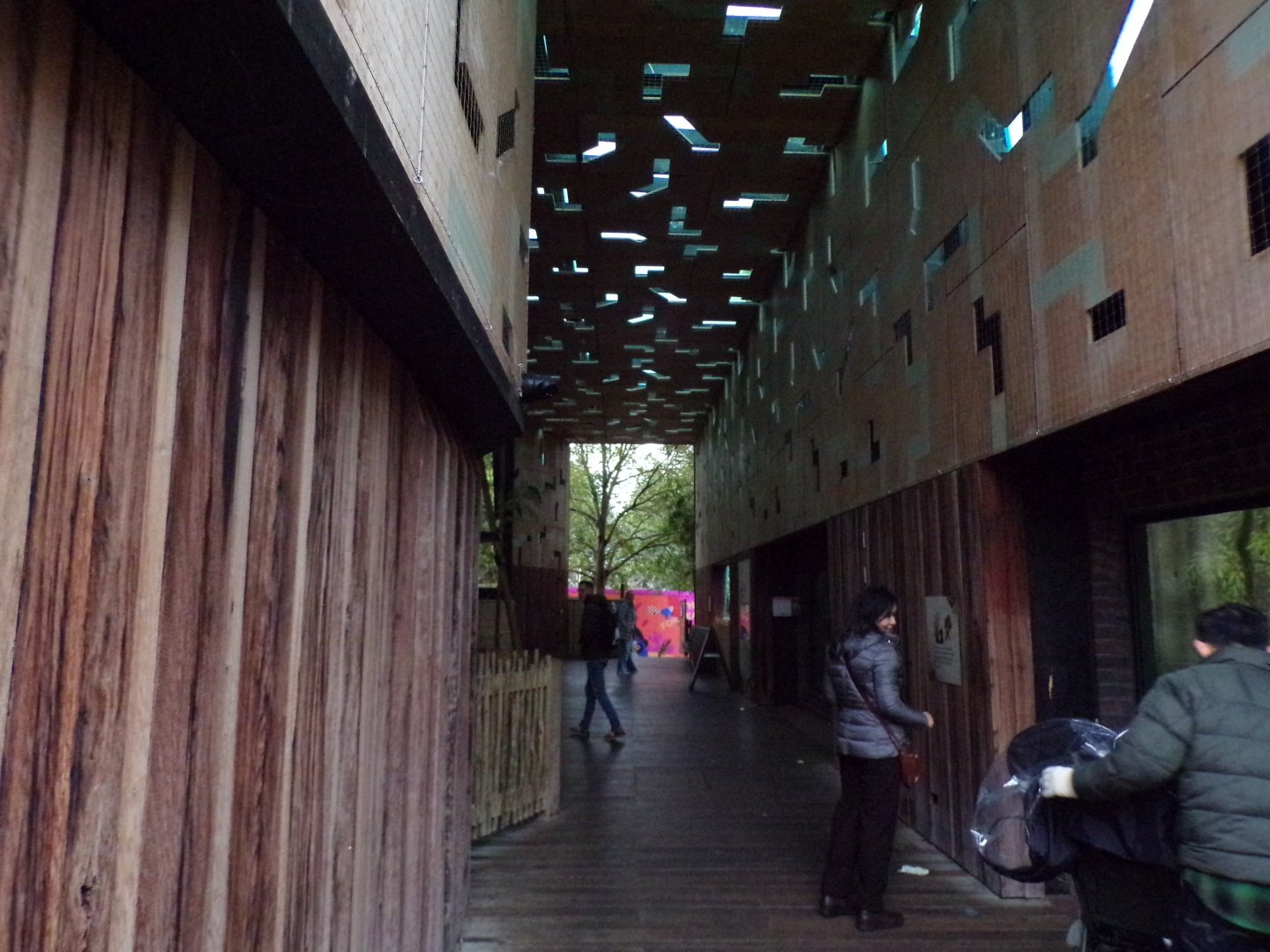 View inside Gorilla Kingdom building 11.2.25