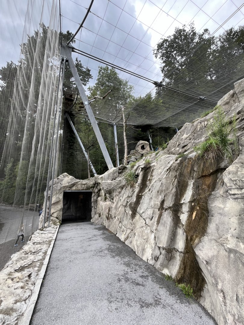 View inside Griffon and Egyptian vulture aviary 9.7.25
