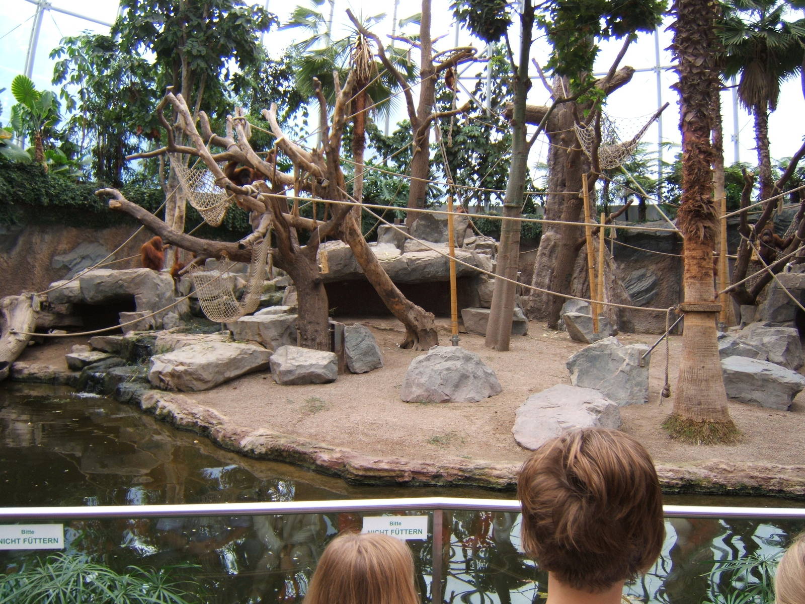 View inside Hagenbecks Orang House 2007