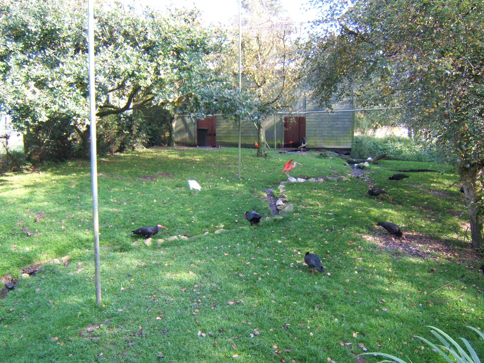 View inside Ibis Aviary