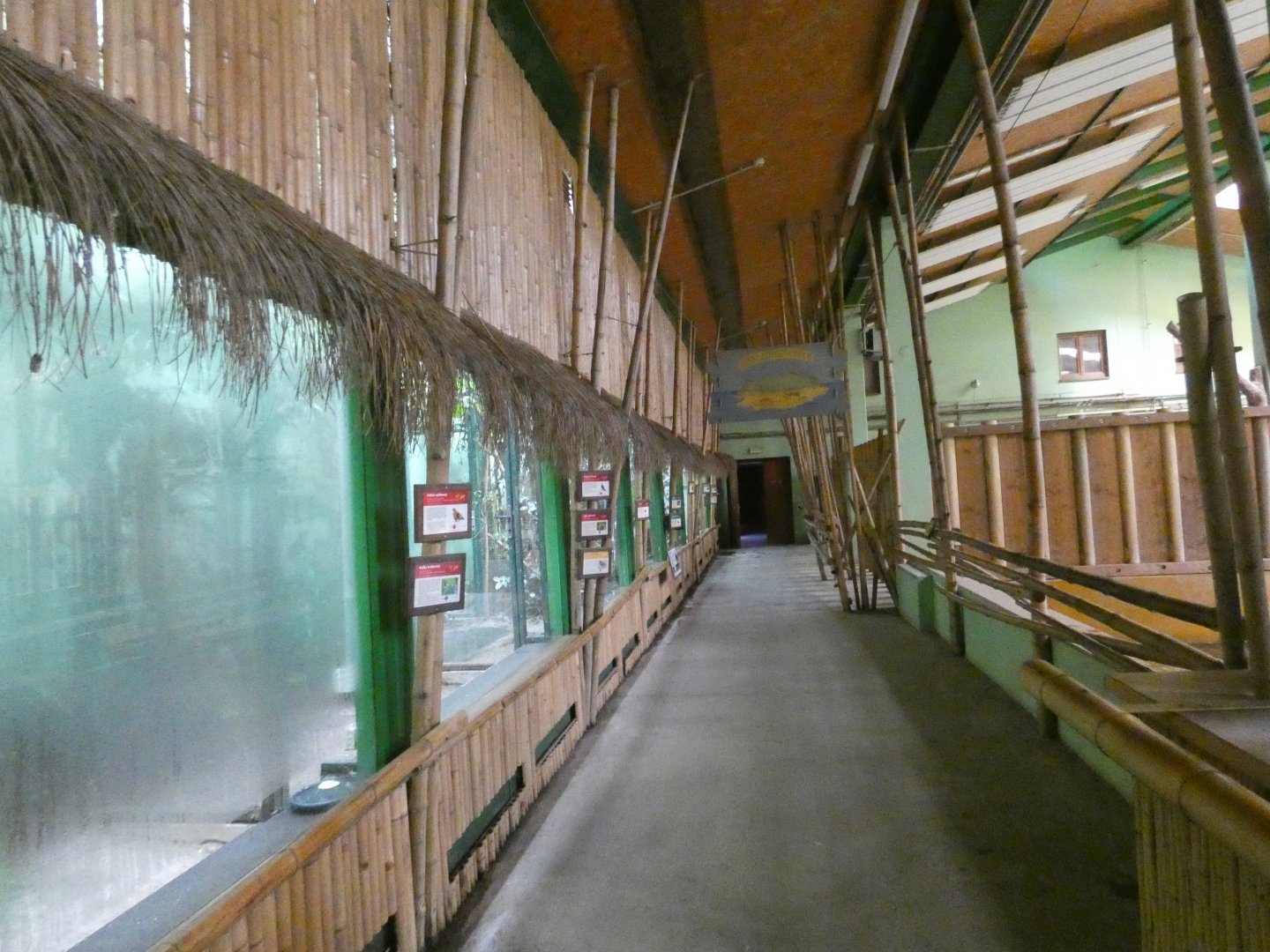 View inside Indian rhinoceros house