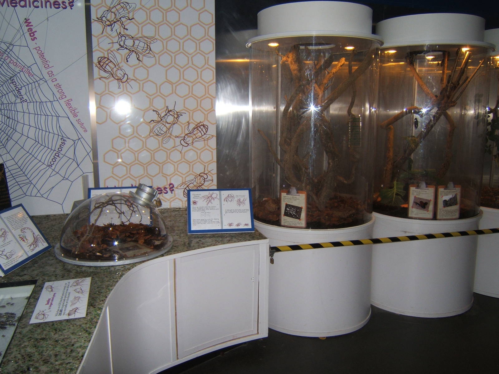 View inside Investigate Incredible Inverts