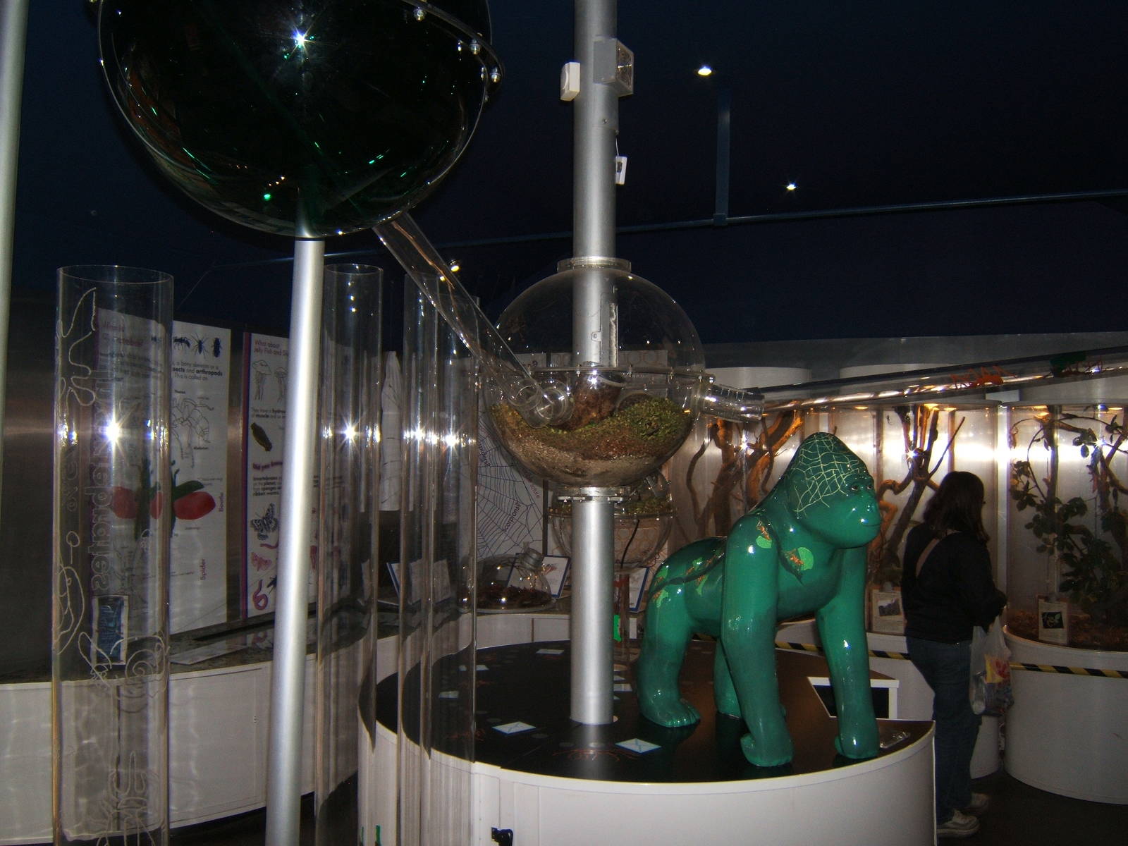 View inside Investigate Incredible Inverts