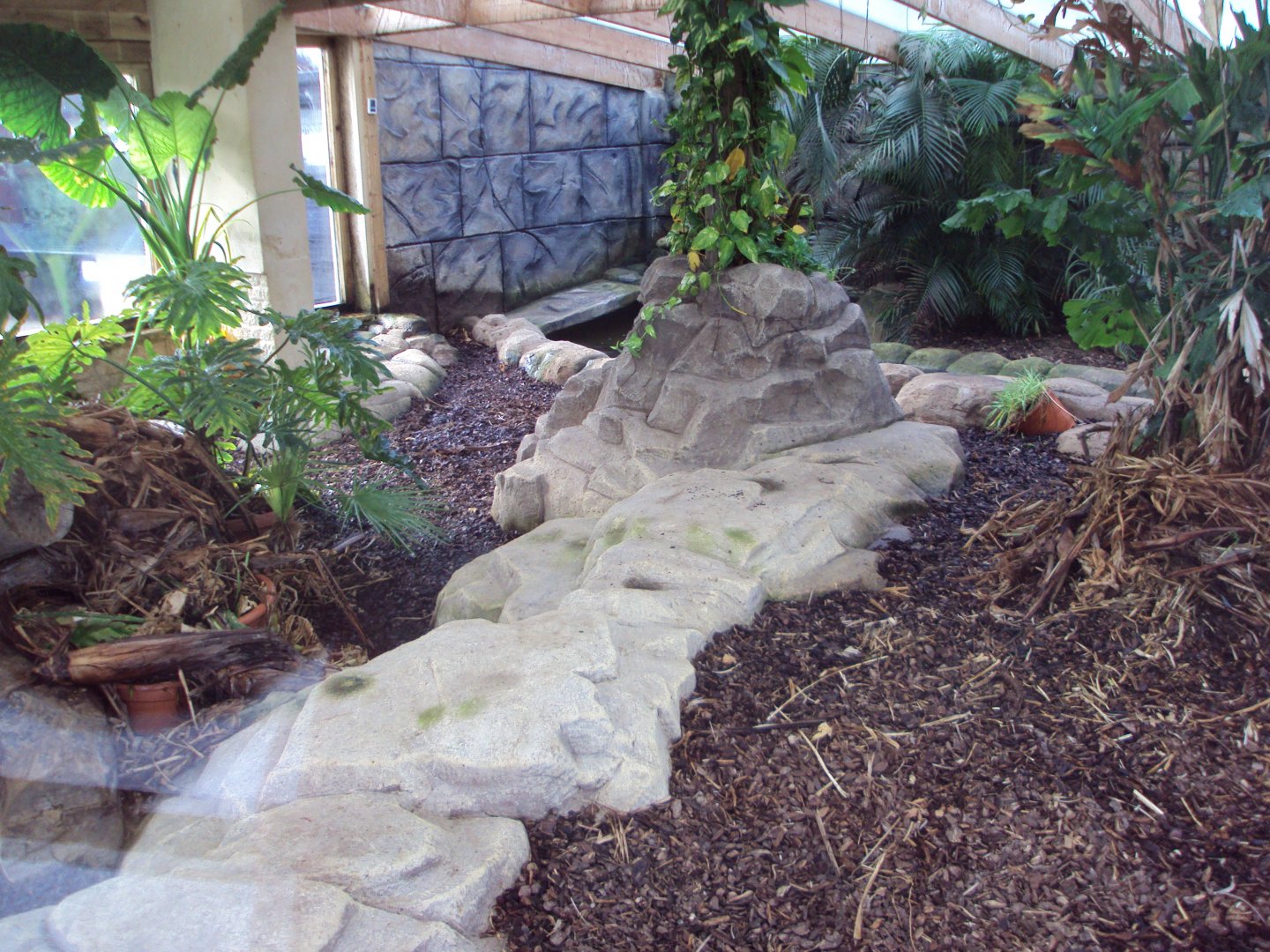 View inside Komodo House 31/10/2019